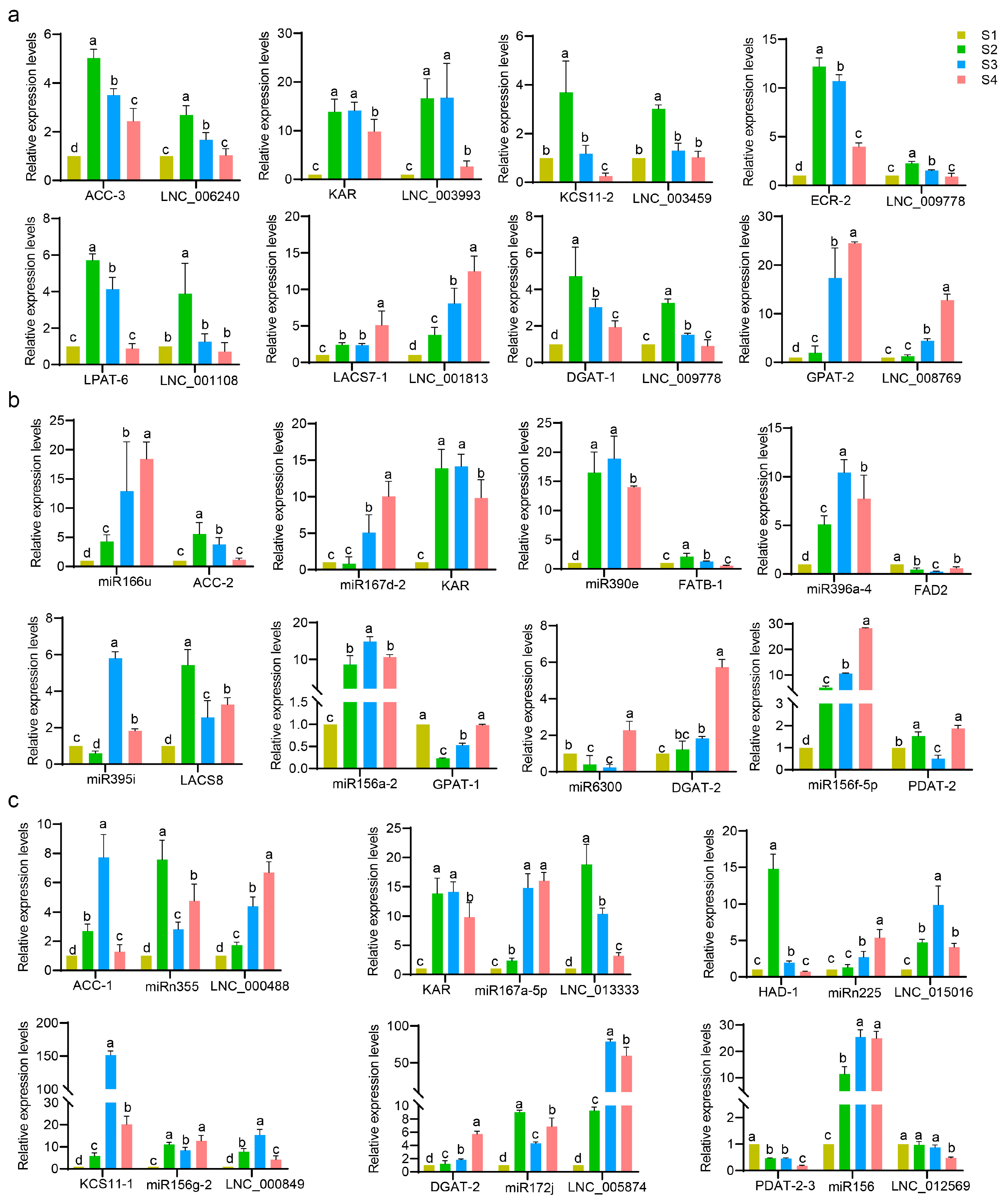 Forests 14 00407 g012 Forests 14 00407 g012