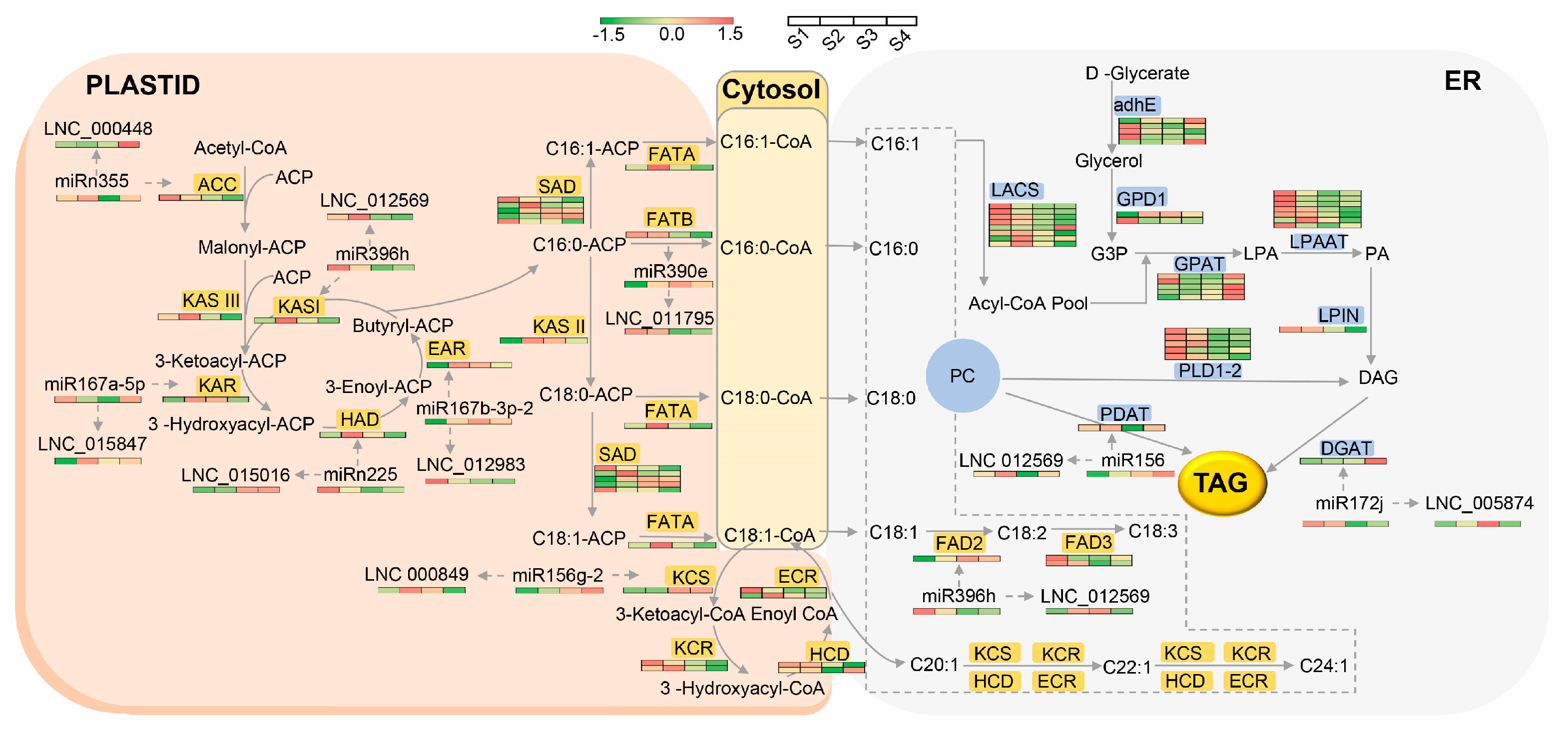 Forests 14 00407 g013 Forests 14 00407 g013