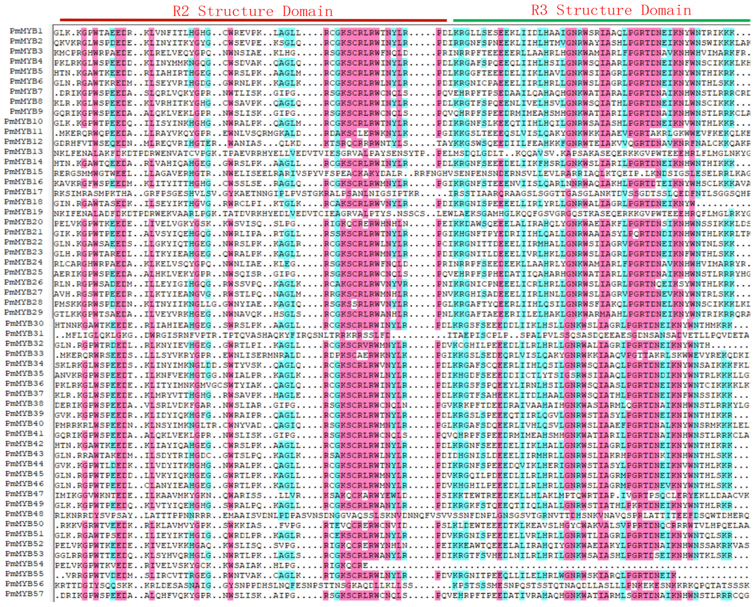 Forests 14 00410 g001 Forests 14 00410 g001