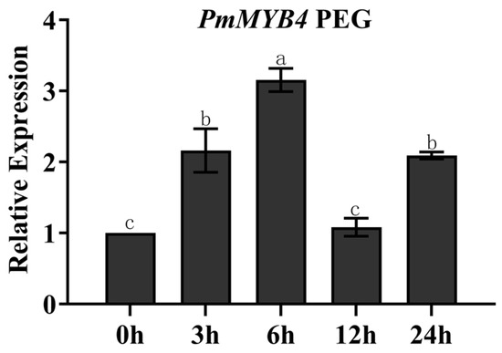 Transcriptome Identification of R2R3-MYB Gene Family Members in