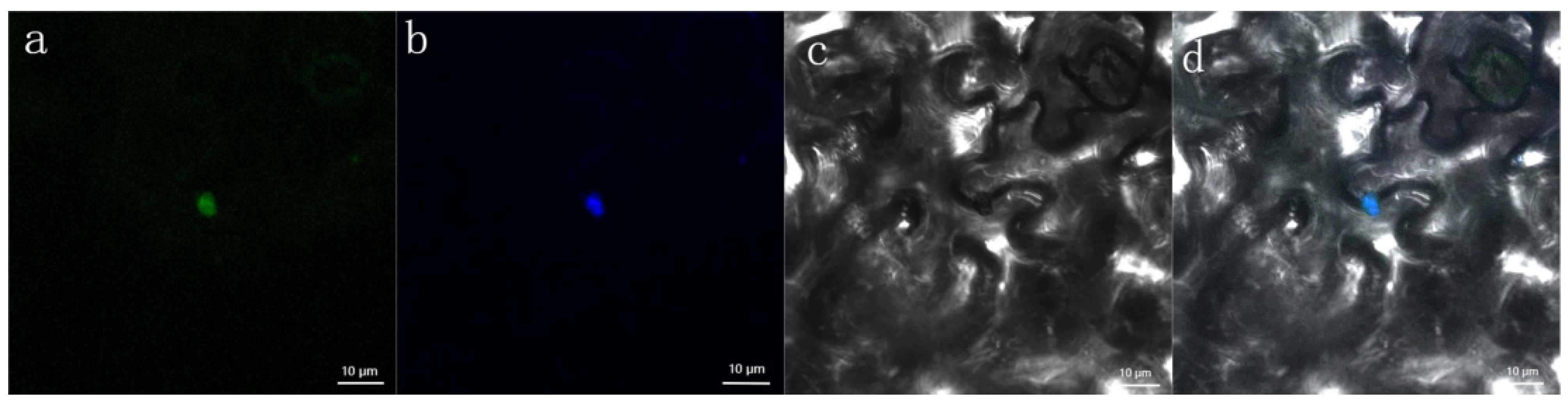 Forests 14 00410 g006 Forests 14 00410 g006