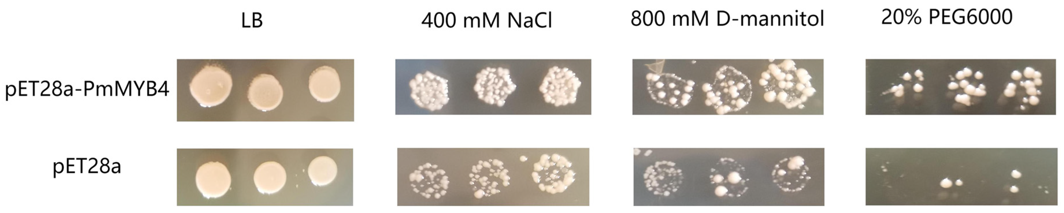 Forests 14 00410 g007 Forests 14 00410 g007