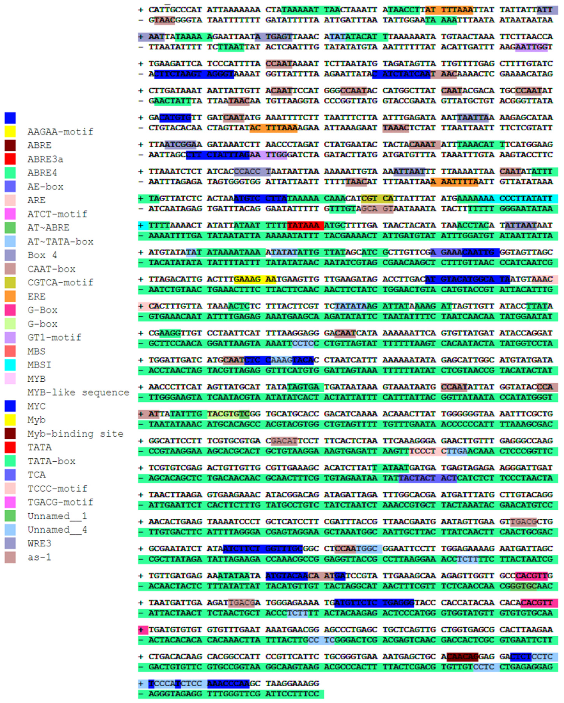 Forests 14 00410 g009 Forests 14 00410 g009
