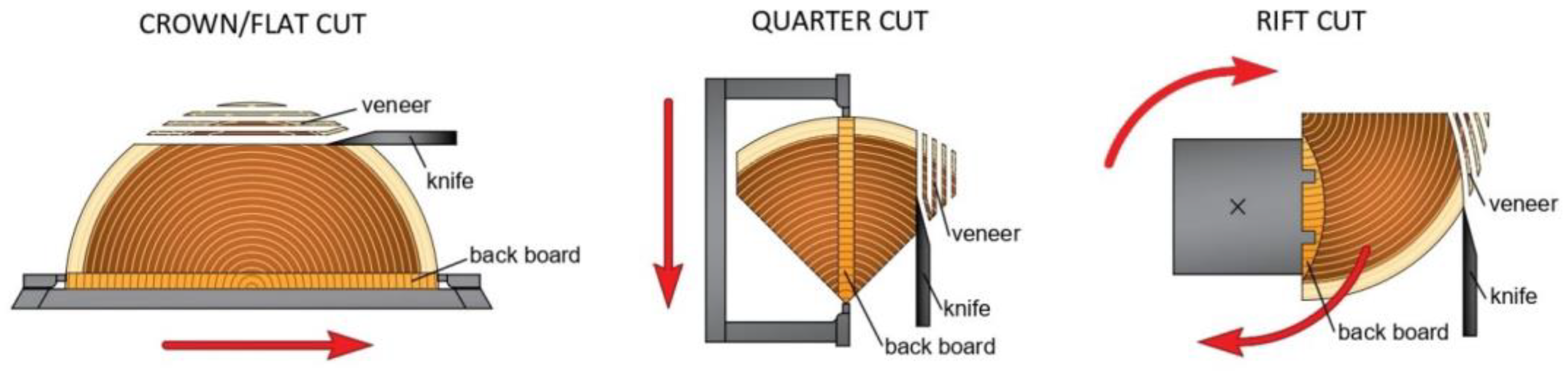 Forests 14 00414 g001