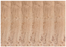 Forests 14 00414 i007