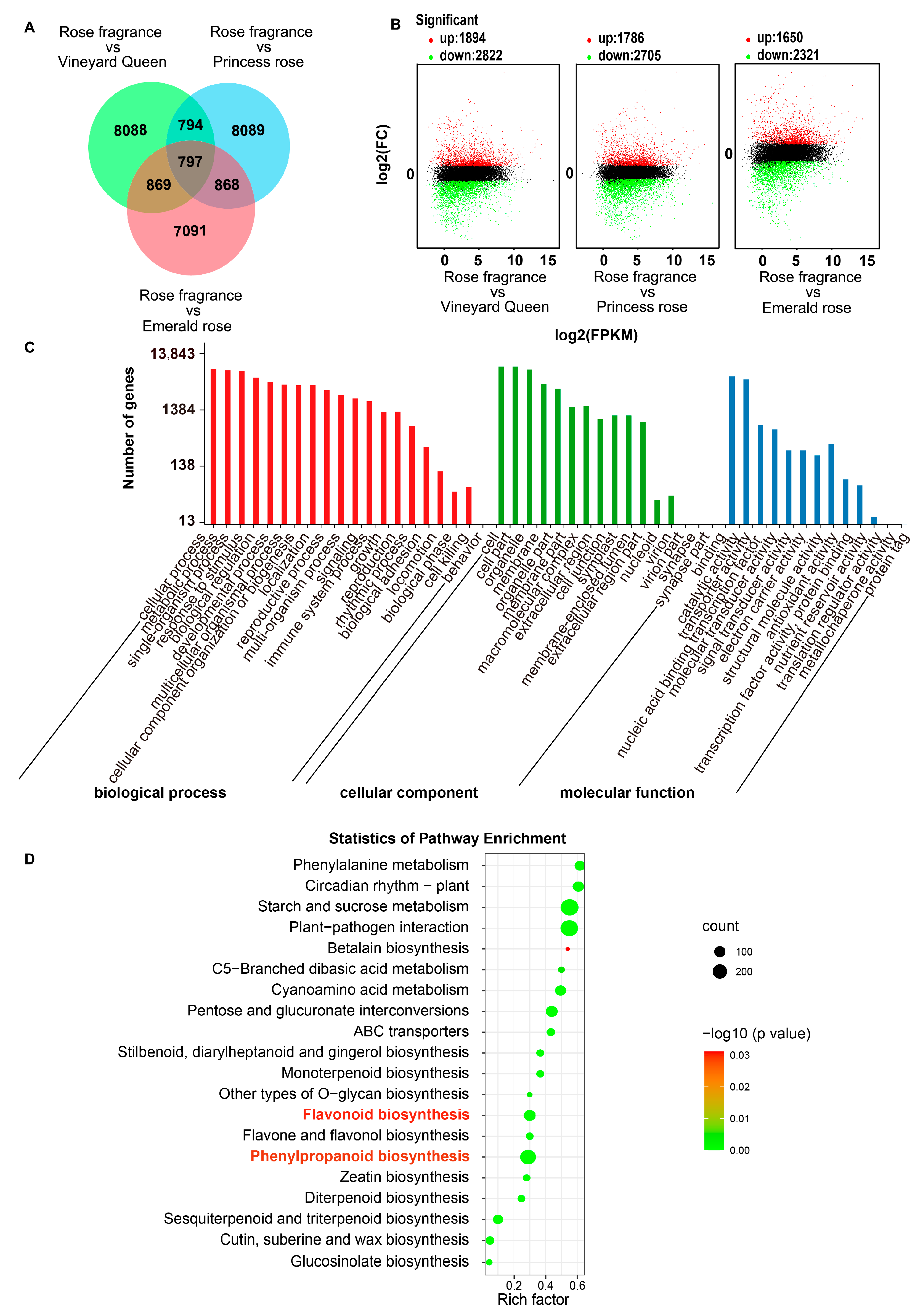Forests 14 00416 g002 Forests 14 00416 g002