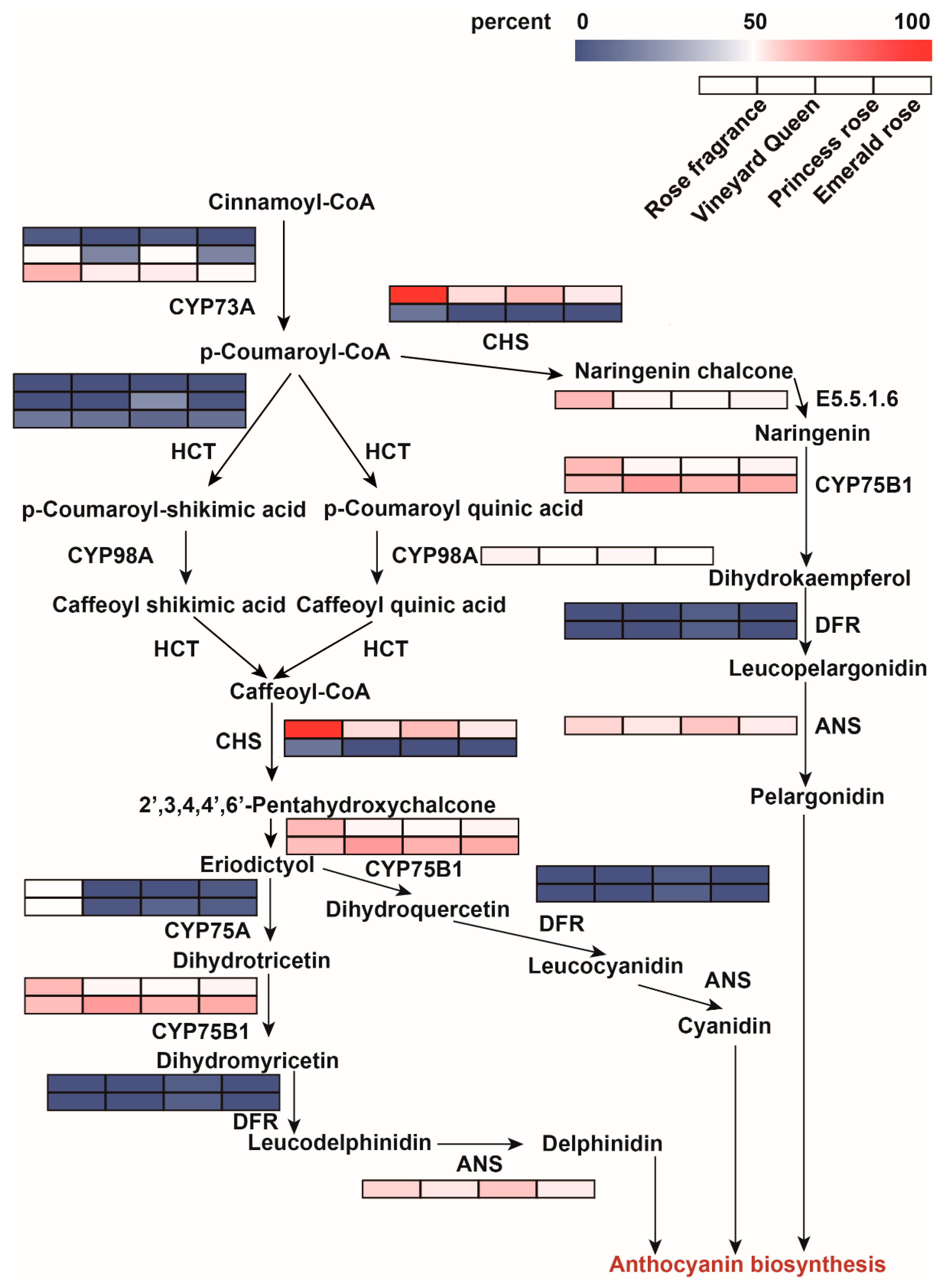 Forests 14 00416 g003 Forests 14 00416 g003