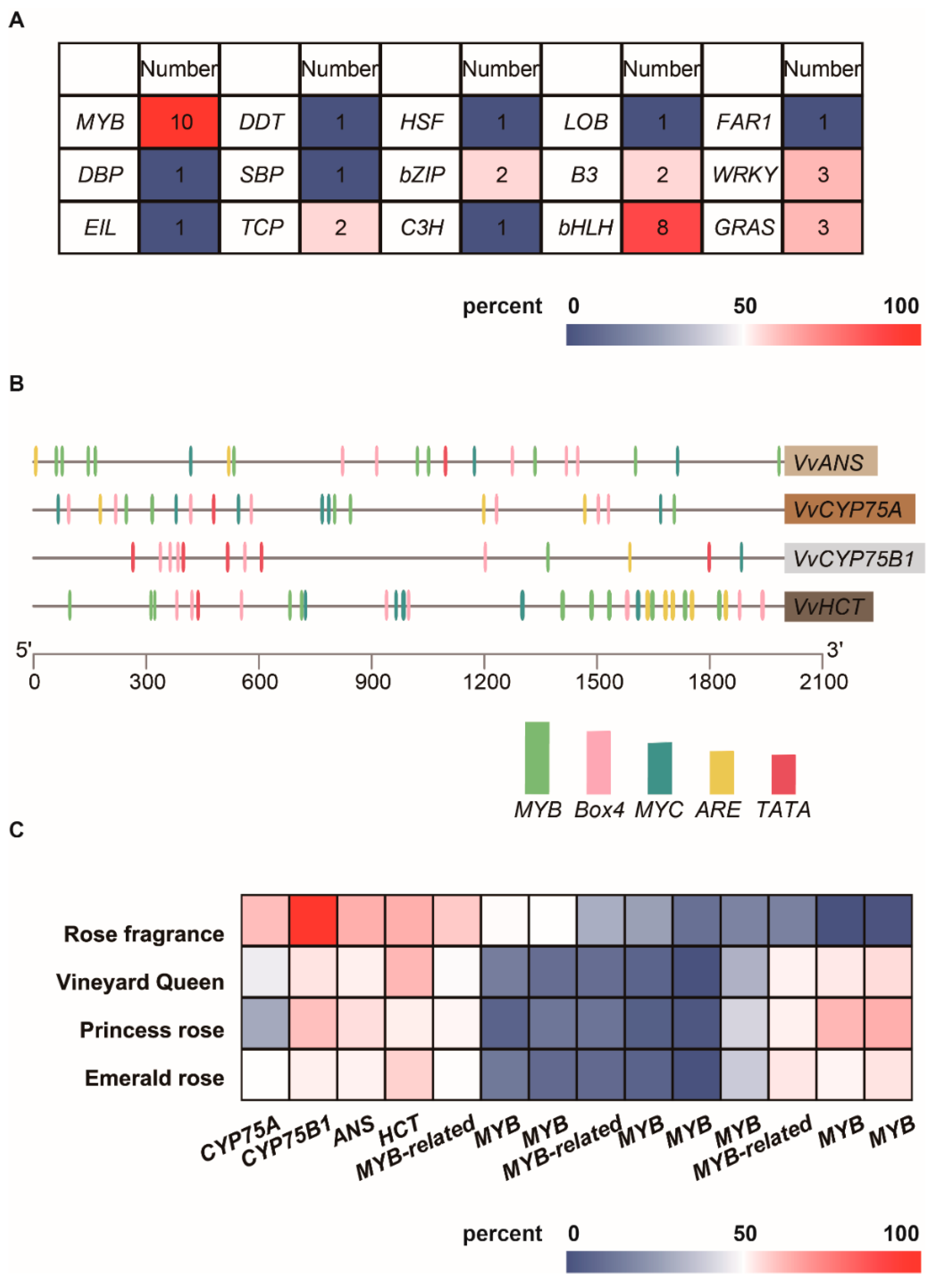 Forests 14 00416 g004 Forests 14 00416 g004