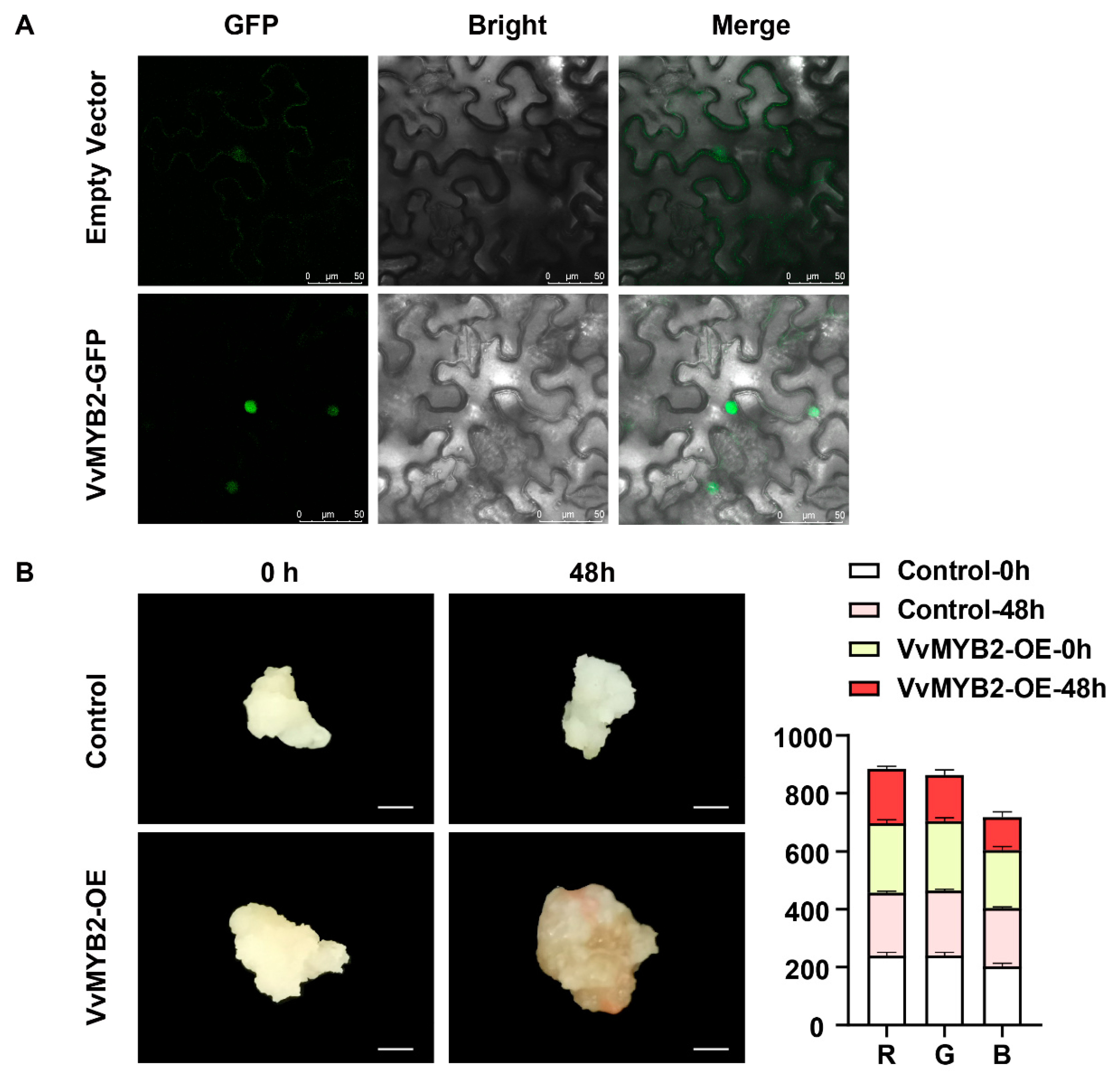Forests 14 00416 g006 Forests 14 00416 g006