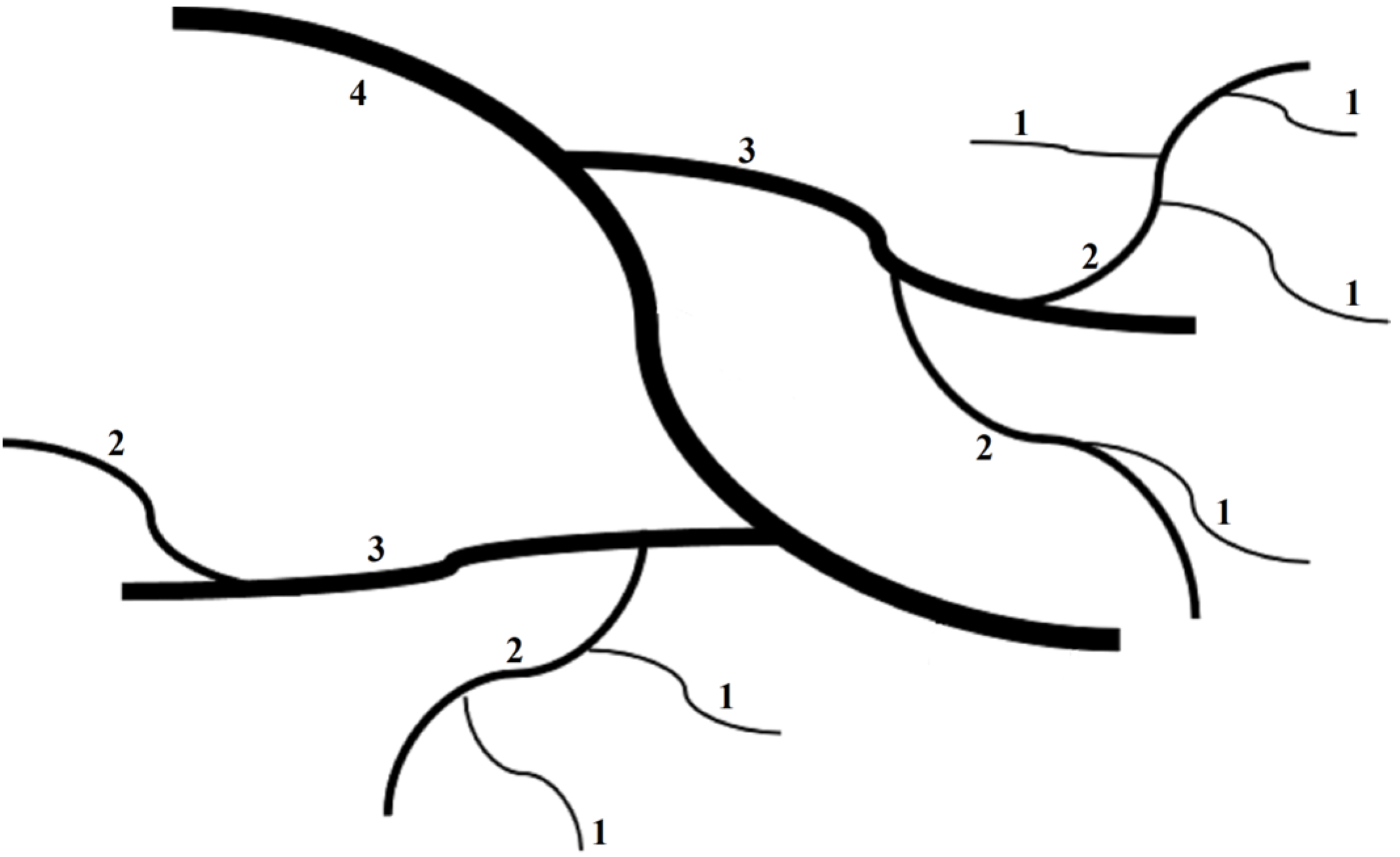 Forests 14 00426 g001 Forests 14 00426 g001