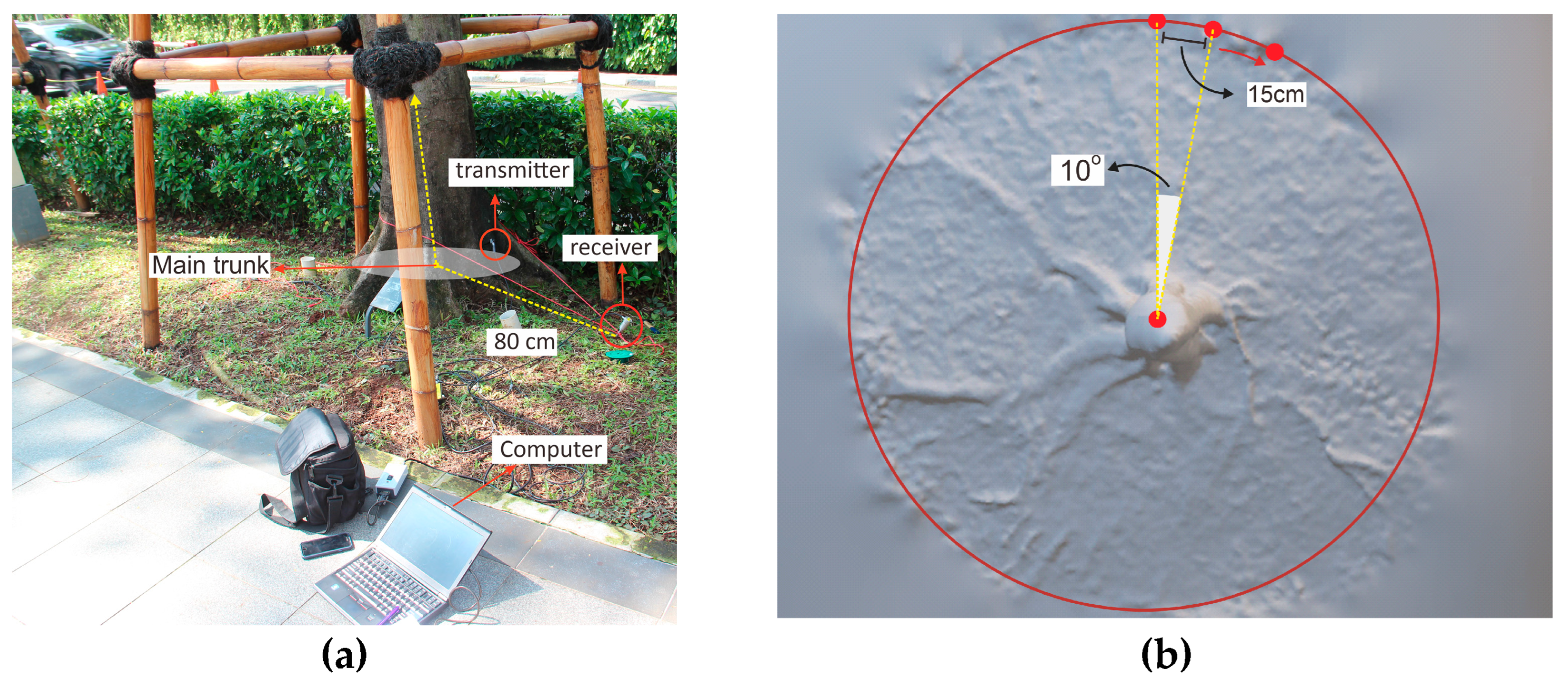 Forests 14 00427 g001 Forests 14 00427 g001