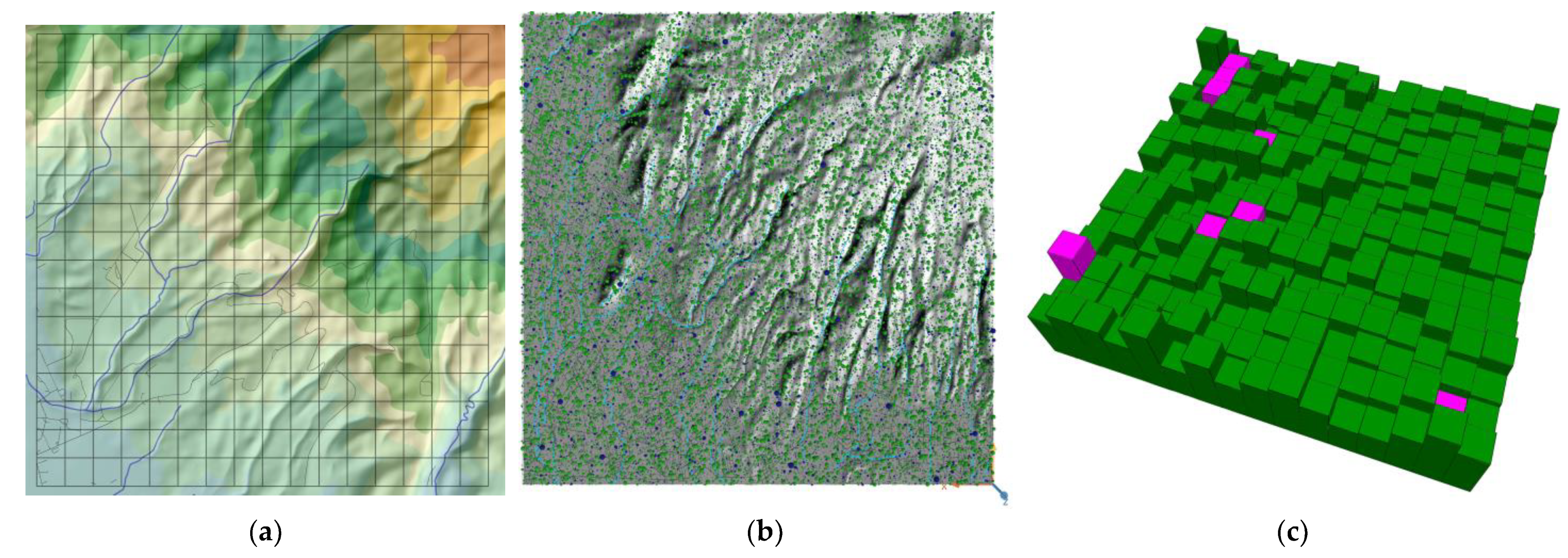 Forests 14 00428 g002 Forests 14 00428 g002