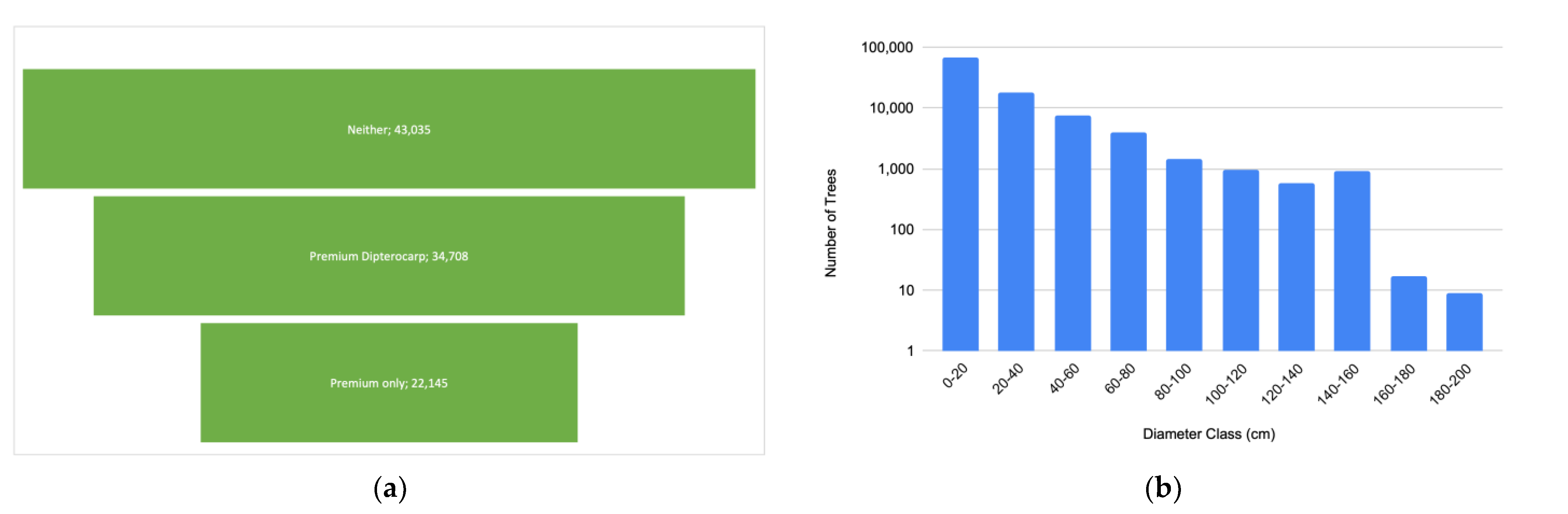 Forests 14 00428 g004 Forests 14 00428 g004