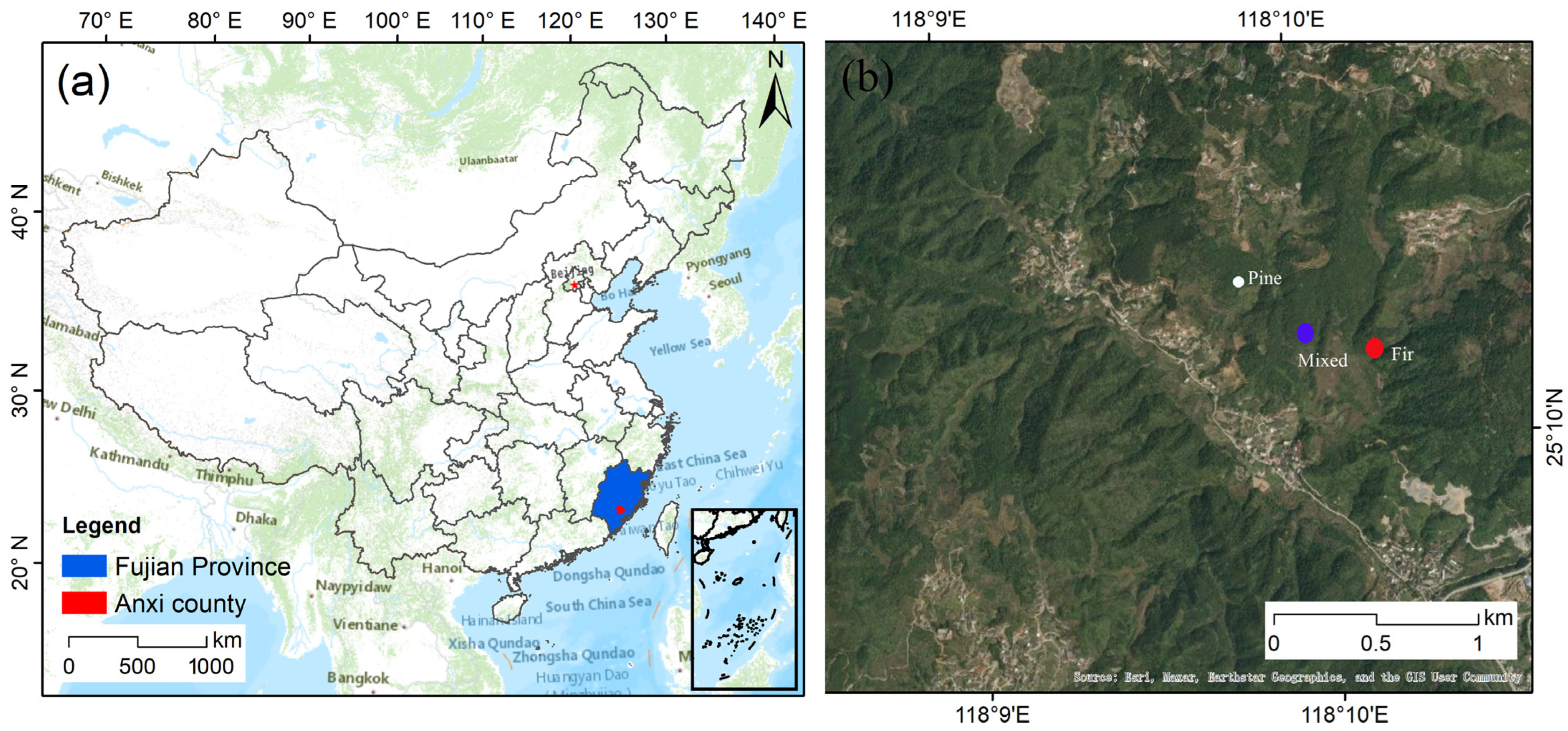 Forests 14 00432 g001 Forests 14 00432 g001