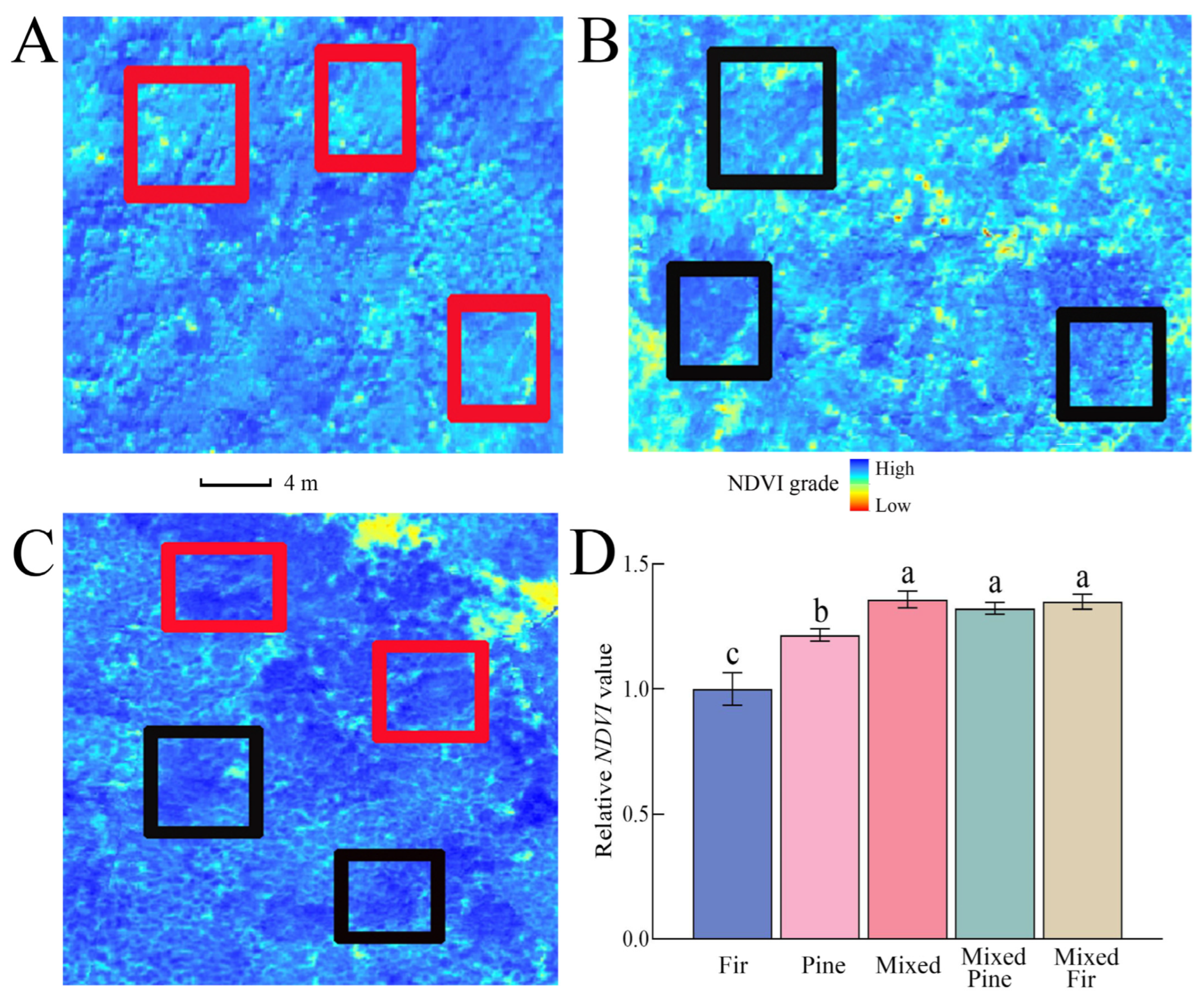Forests 14 00432 g002 Forests 14 00432 g002