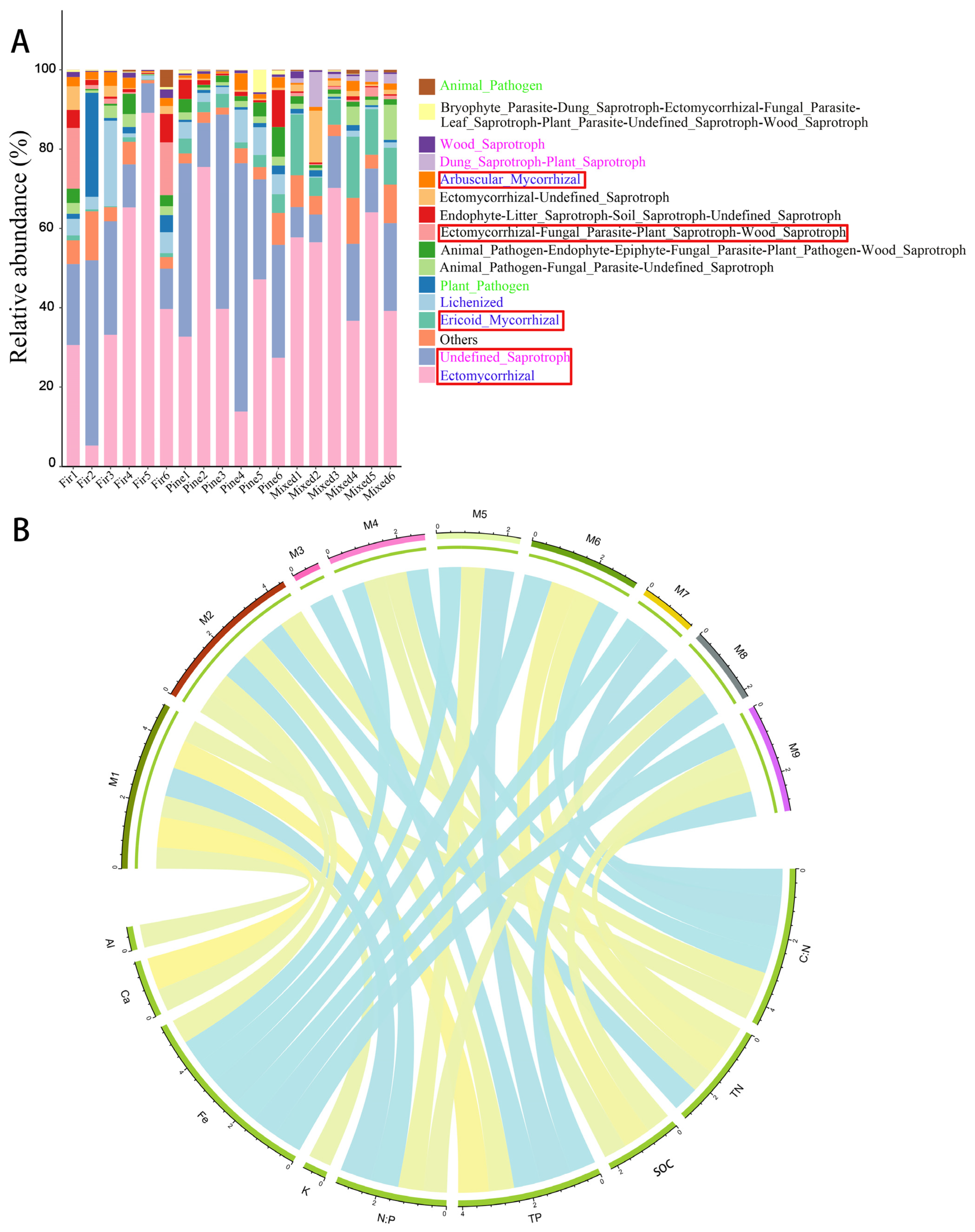 Forests 14 00432 g004 Forests 14 00432 g004