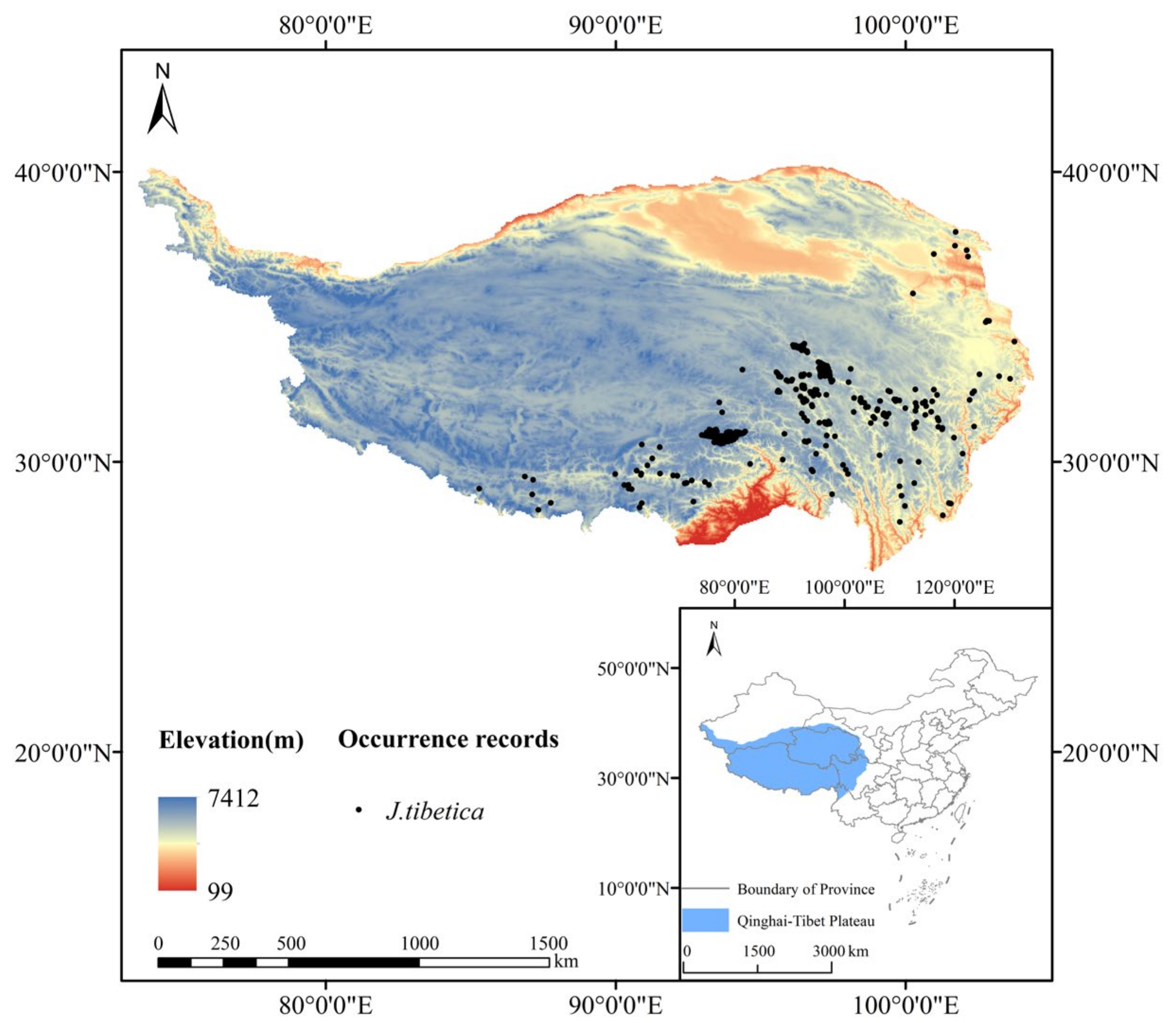 Forests 14 00434 g001 Forests 14 00434 g001