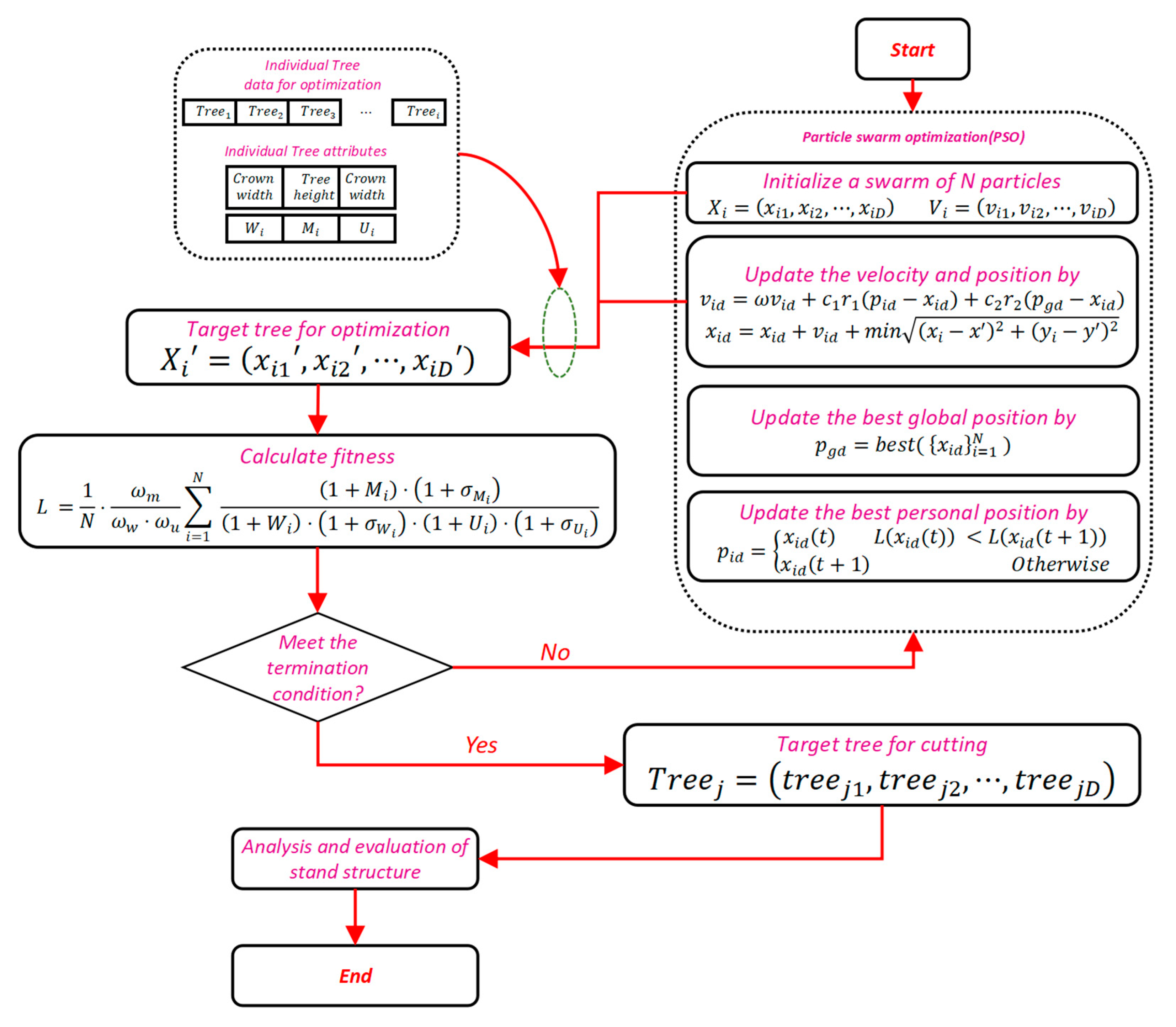 Forests 14 00441 g004