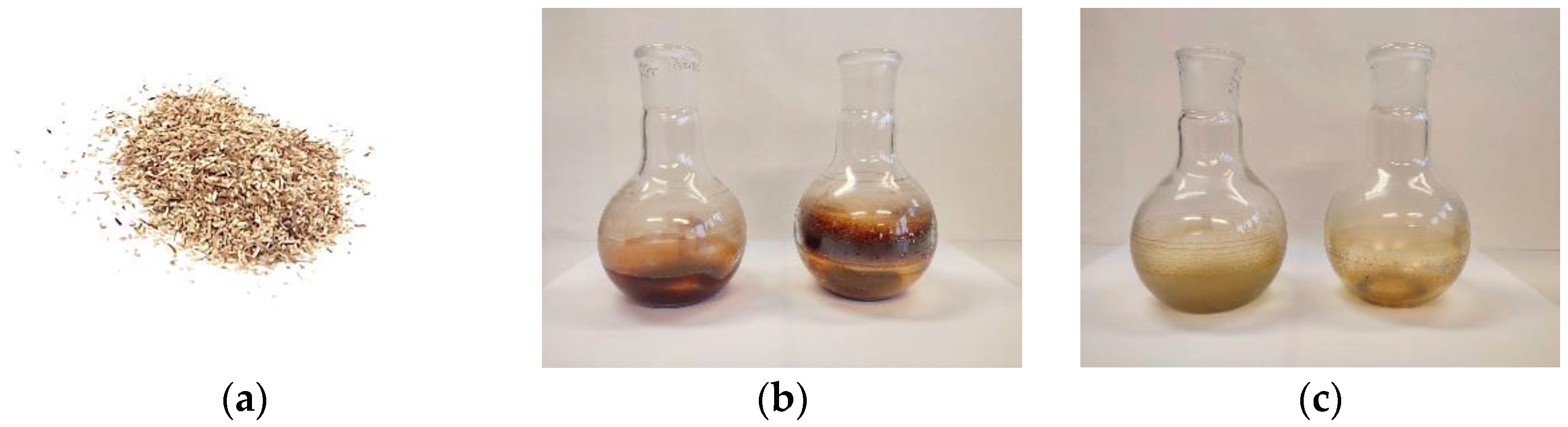 Forests 14 00442 g001