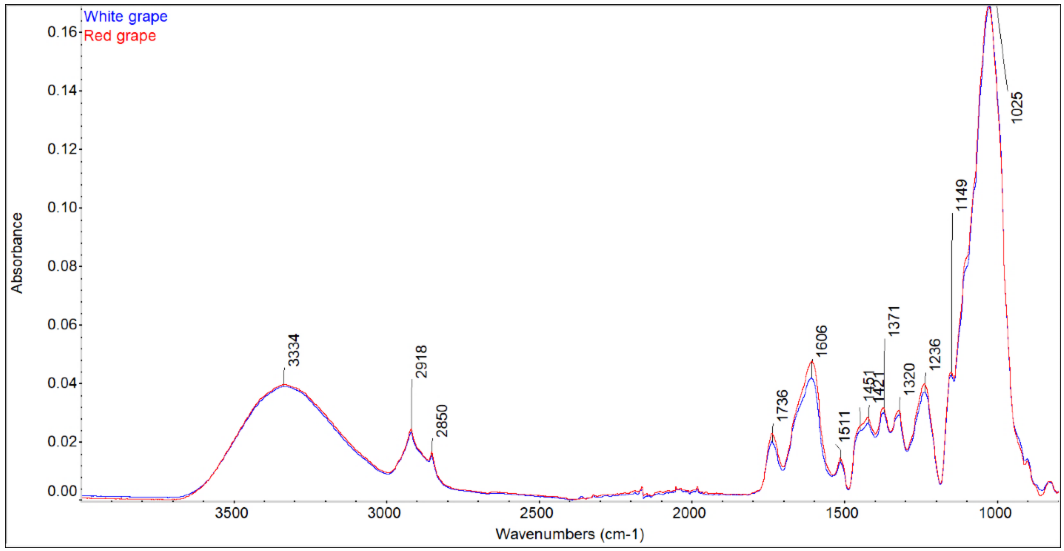 Forests 14 00442 g002