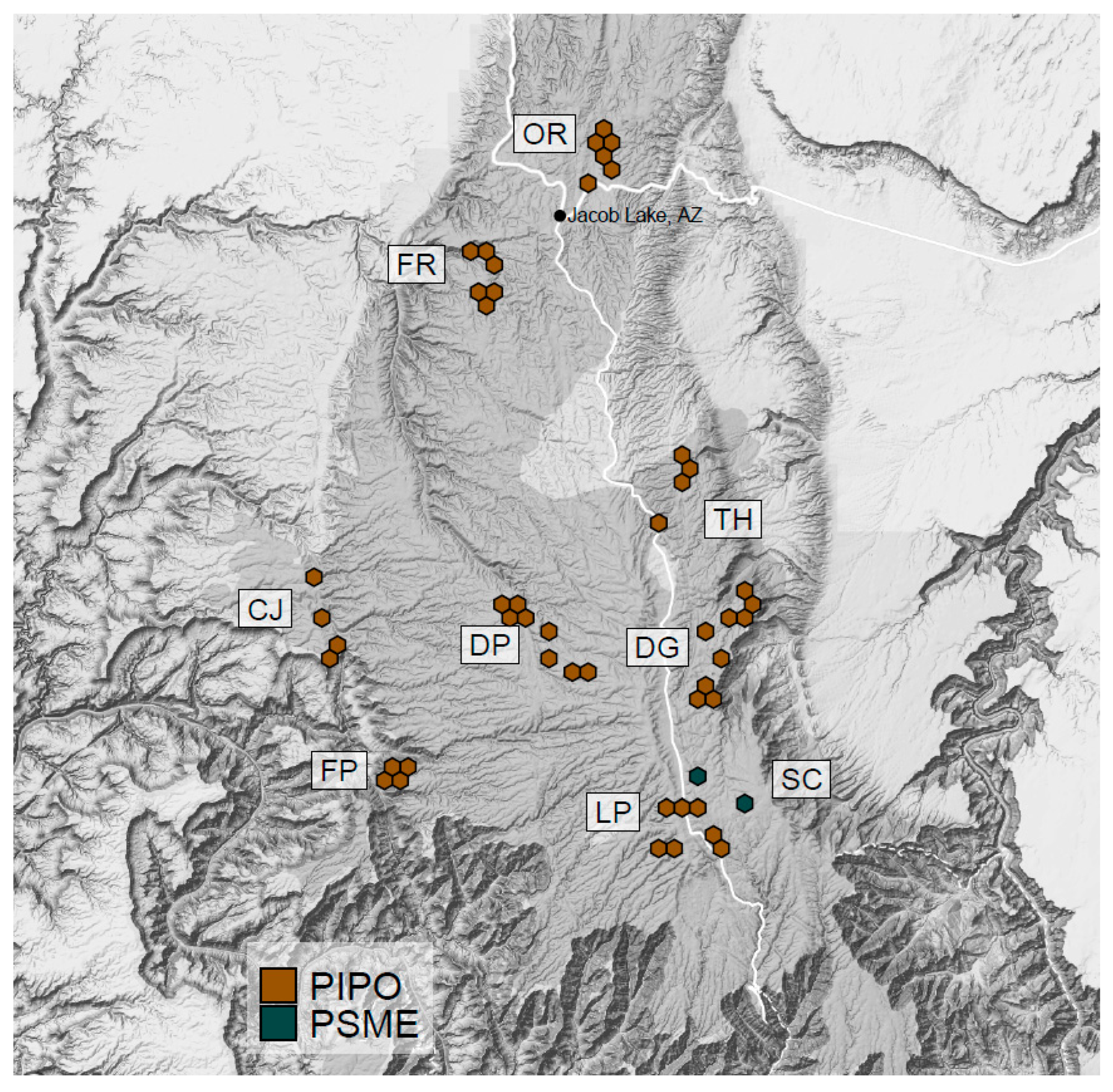 Forests 14 00444 g001 Forests 14 00444 g001