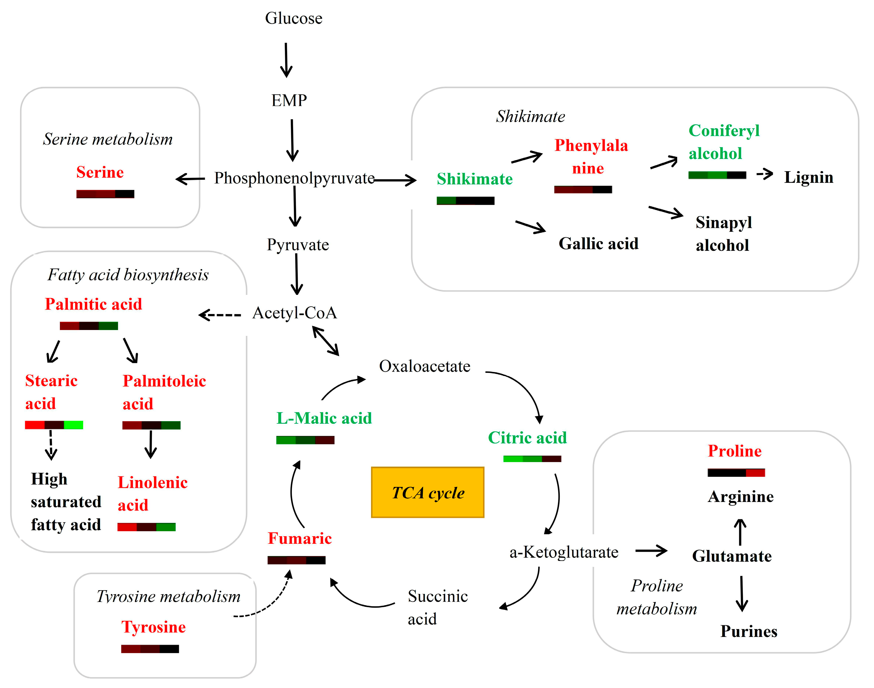 Forests 14 00457 g005 Forests 14 00457 g005