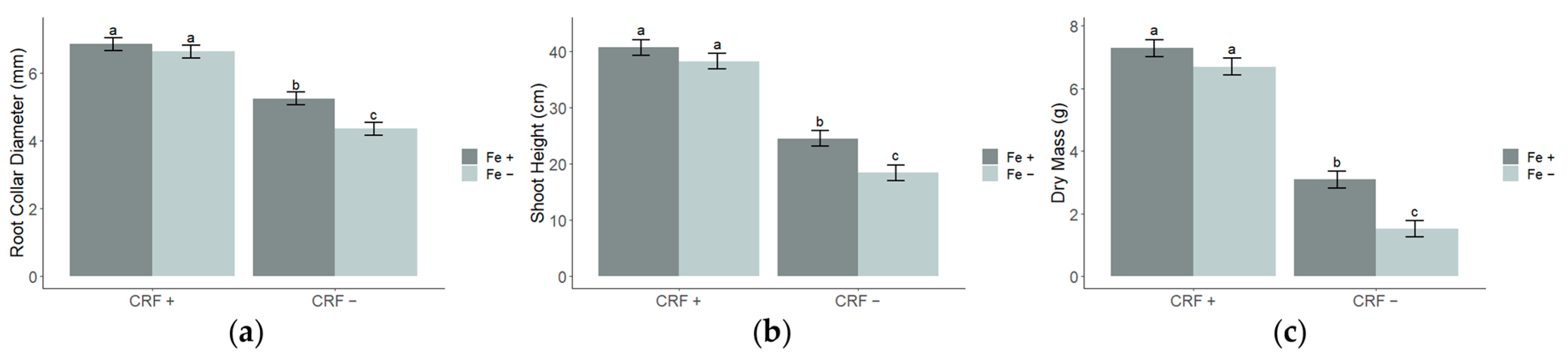 Forests 14 00458 g001