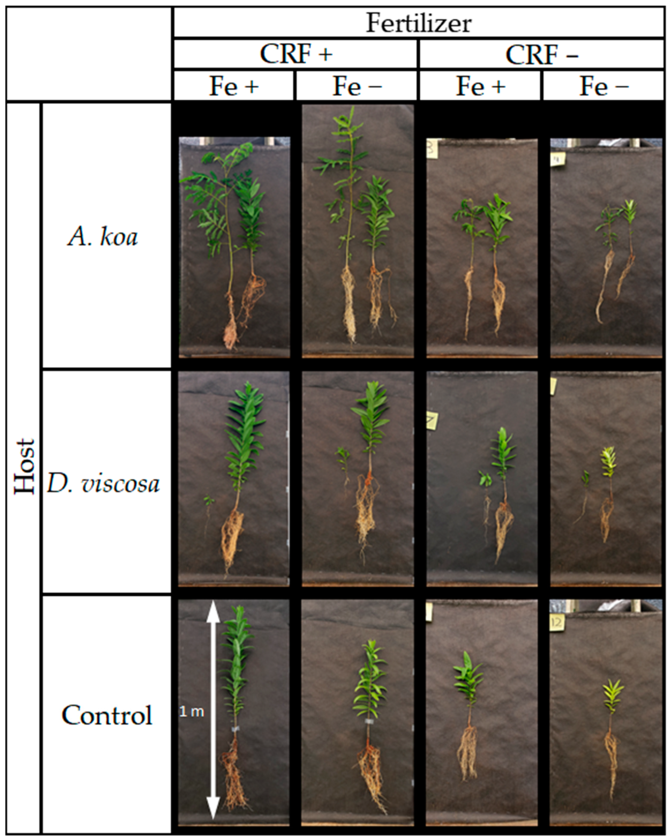 Forests 14 00458 g002