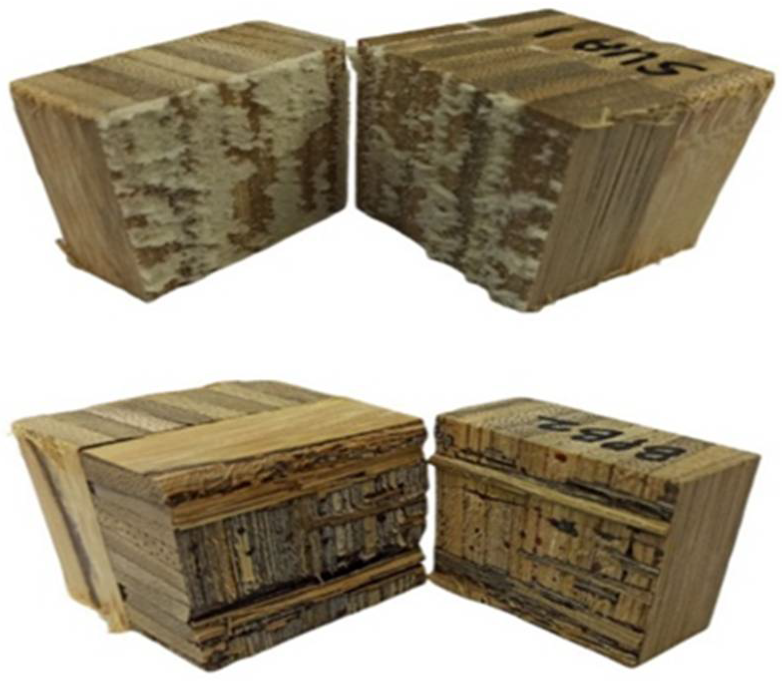 Forests 14 00460 g004 Forests 14 00460 g004