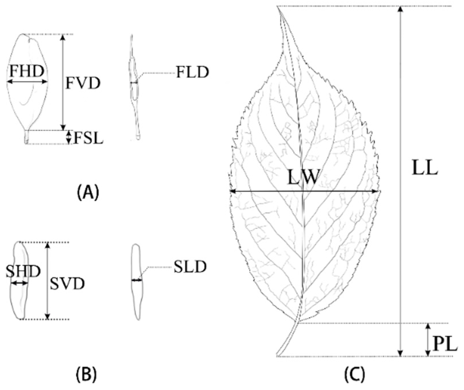 Forests 14 00462 g002 Forests 14 00462 g002