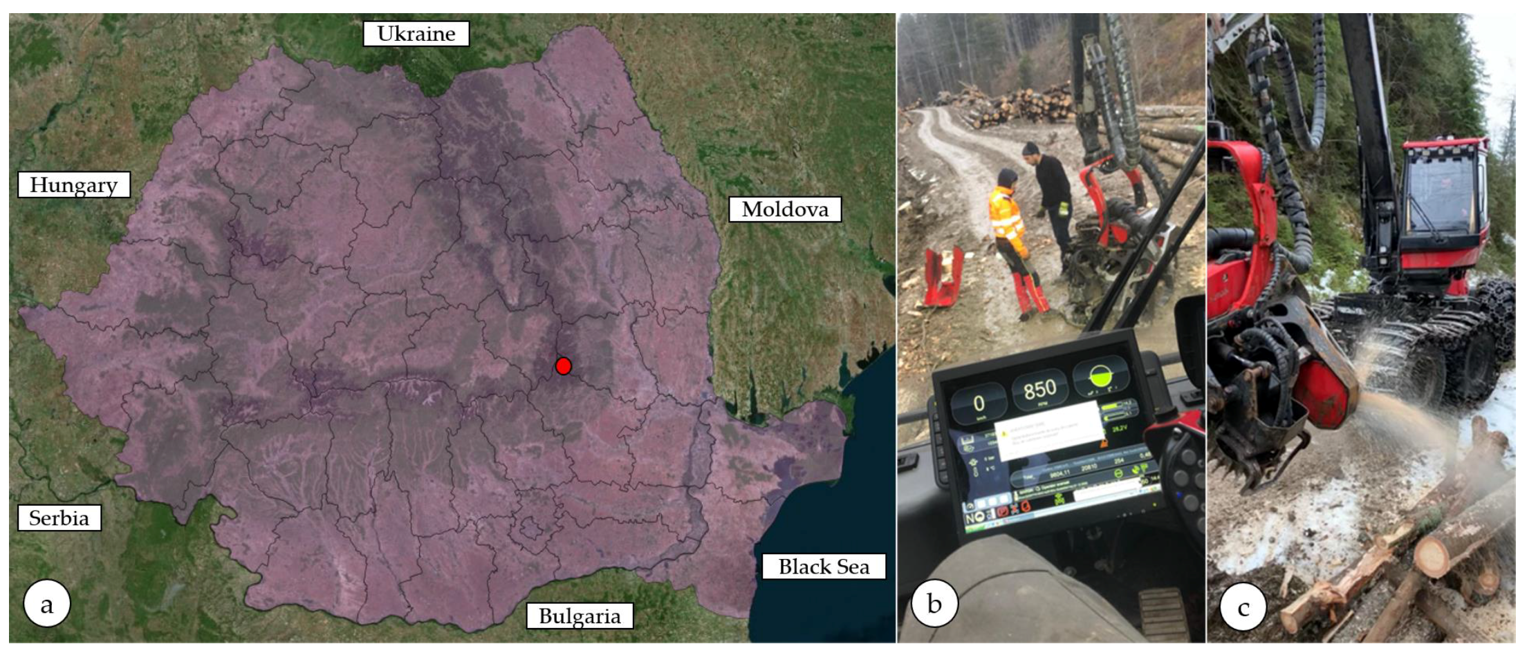 Forests 14 00465 g001