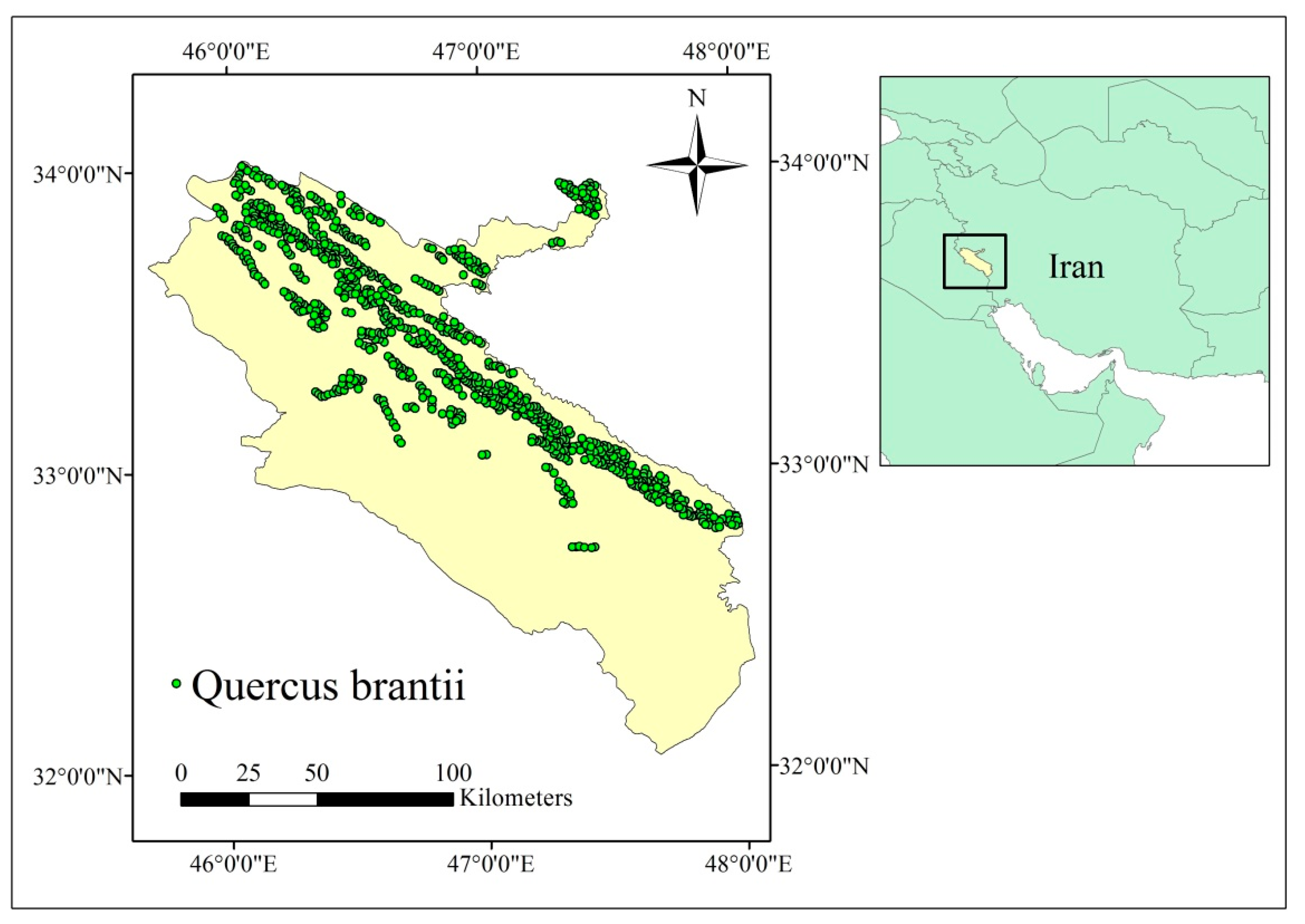 Forests 14 00469 g001
