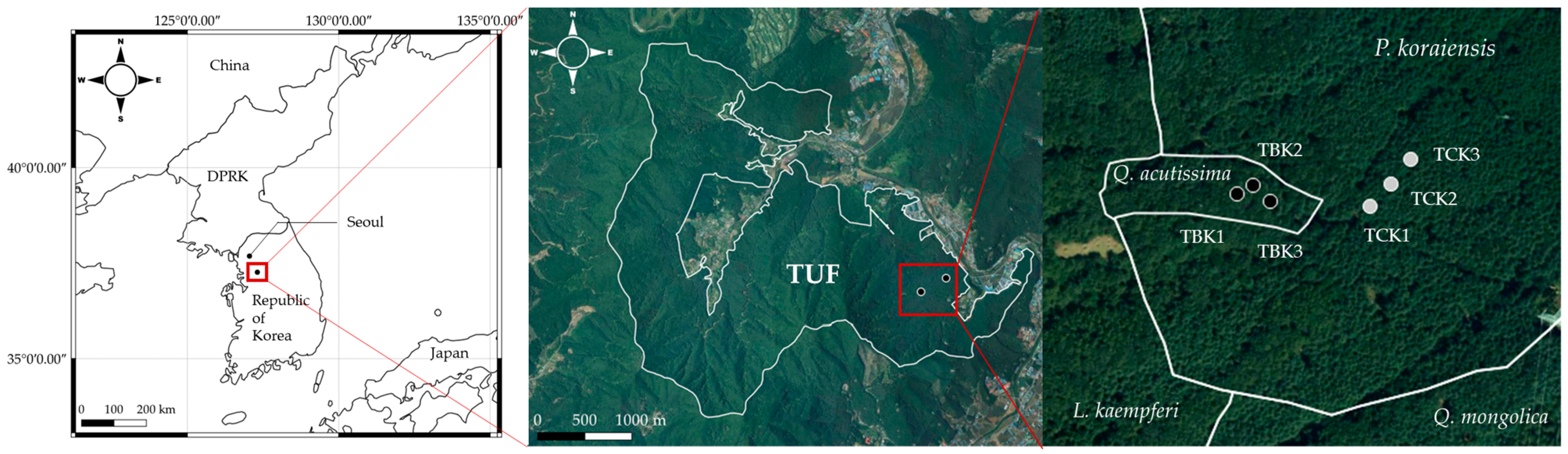 Forests 14 00478 g001