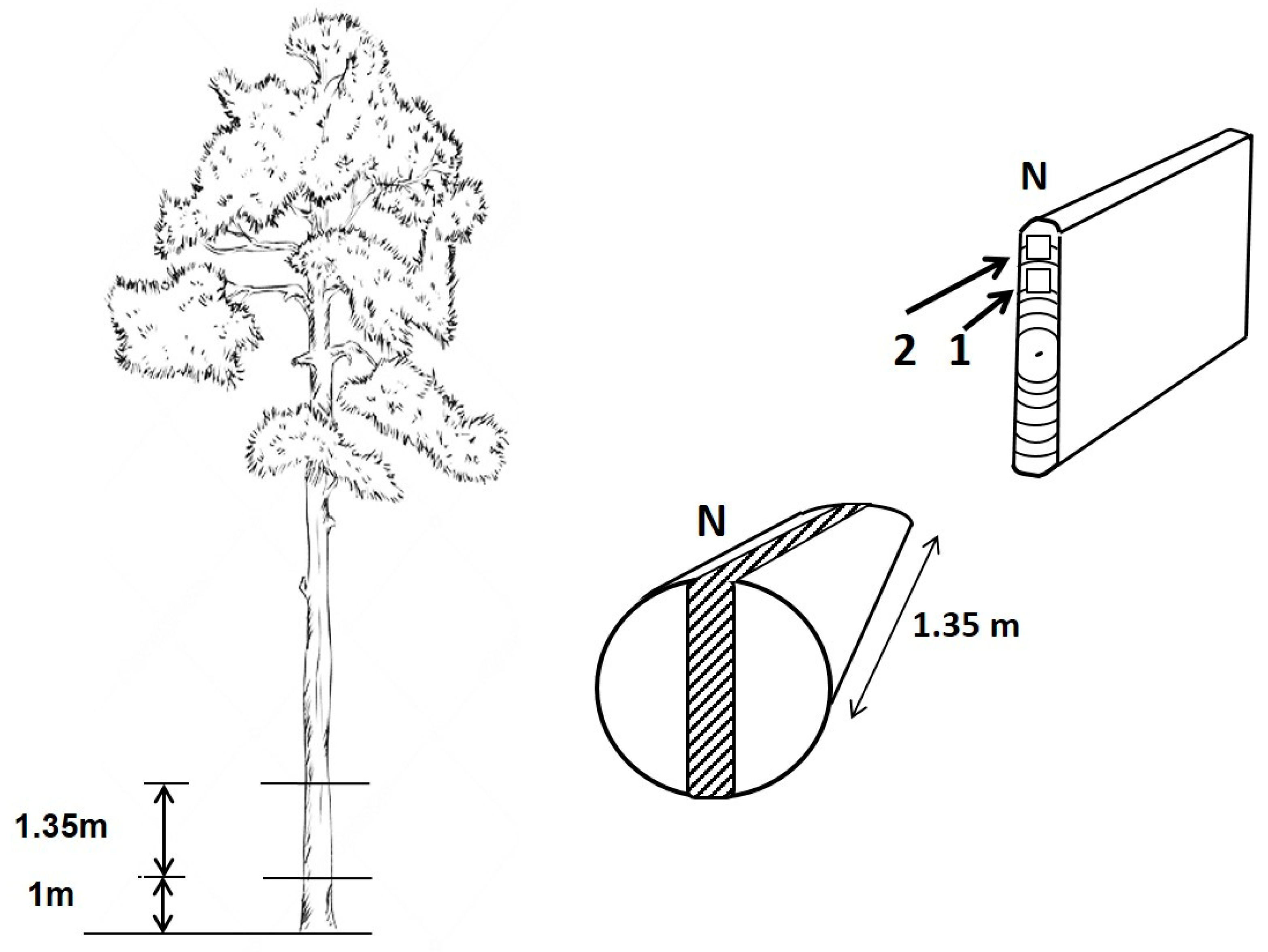 Forests 14 00480 g002 Forests 14 00480 g002