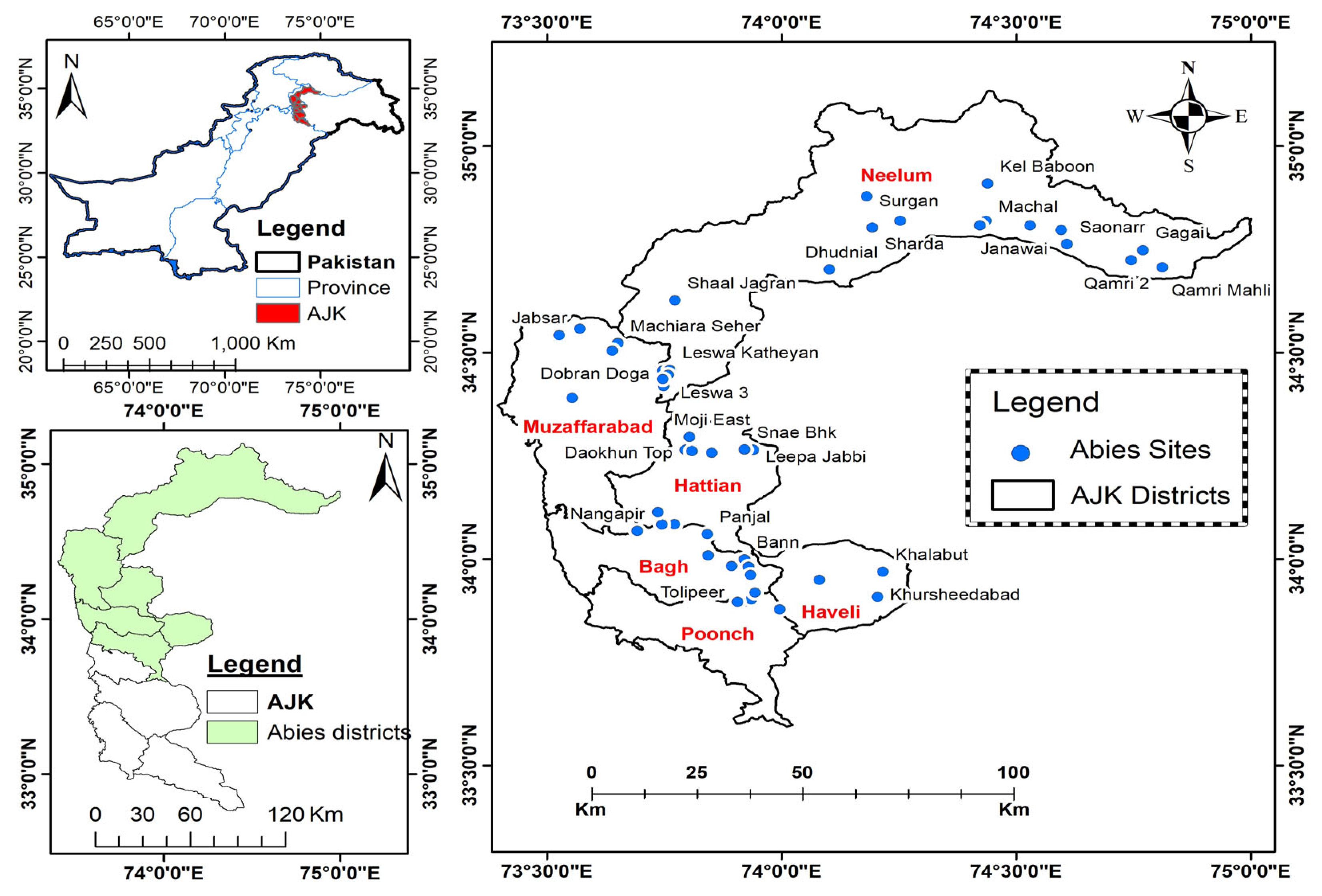 Forests 14 00482 g001