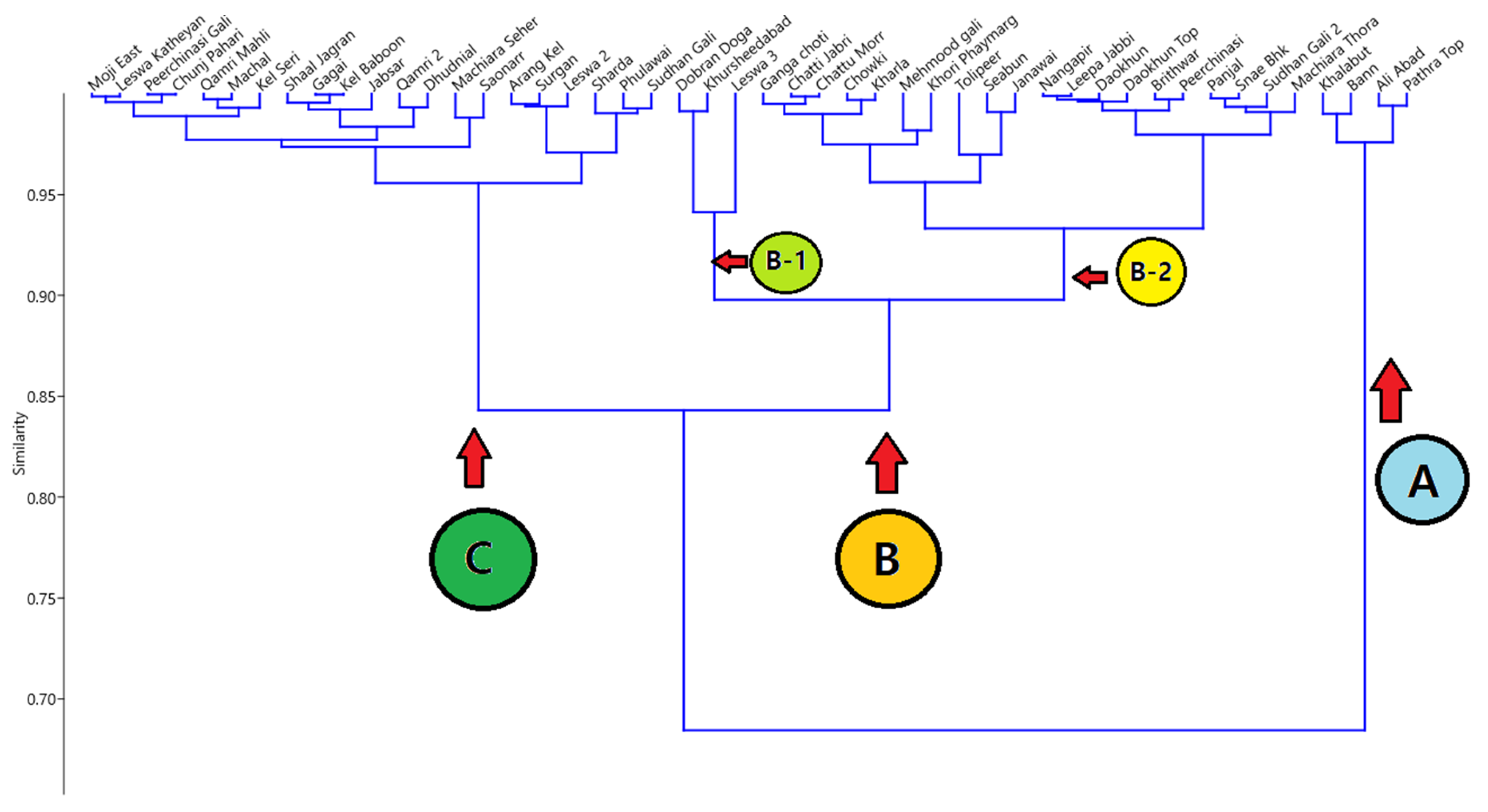 Forests 14 00482 g010