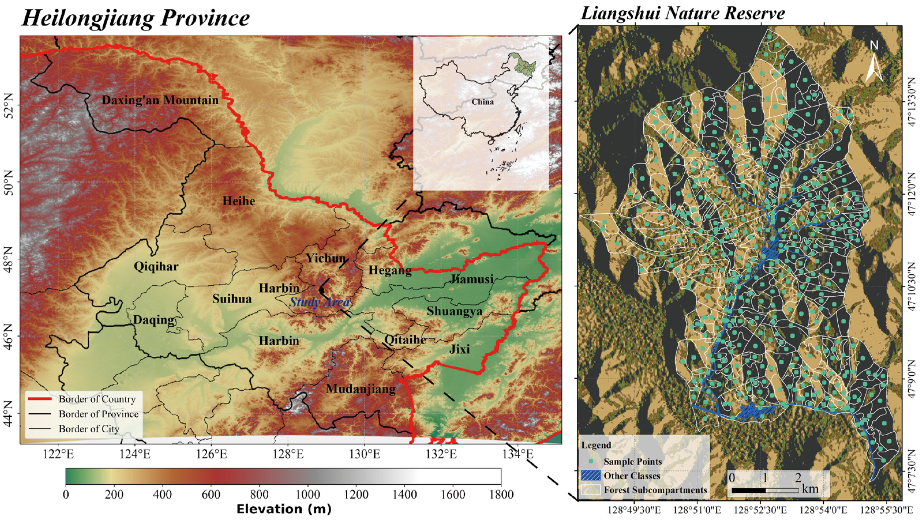 Forests 14 00483 g001