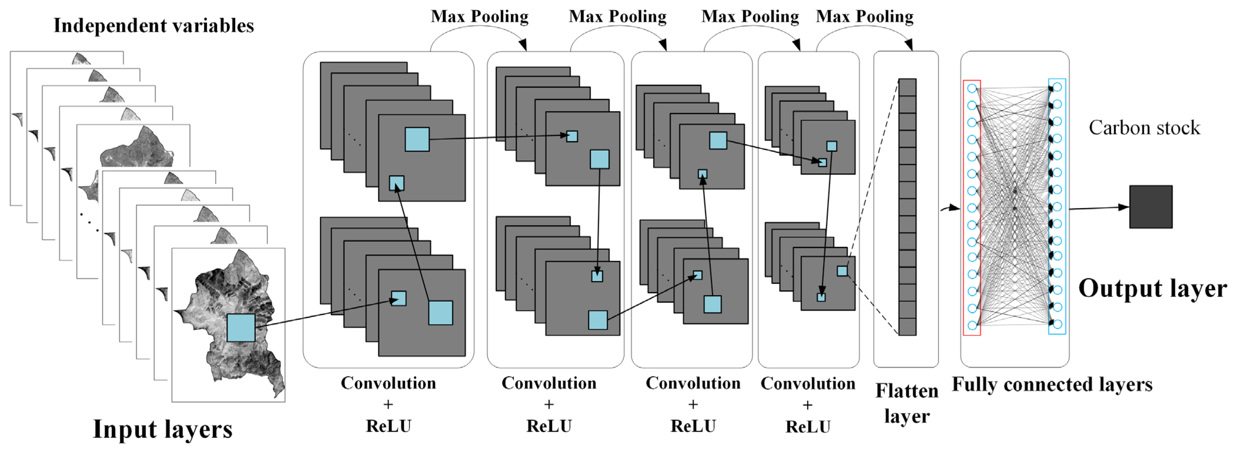 Forests 14 00483 g004