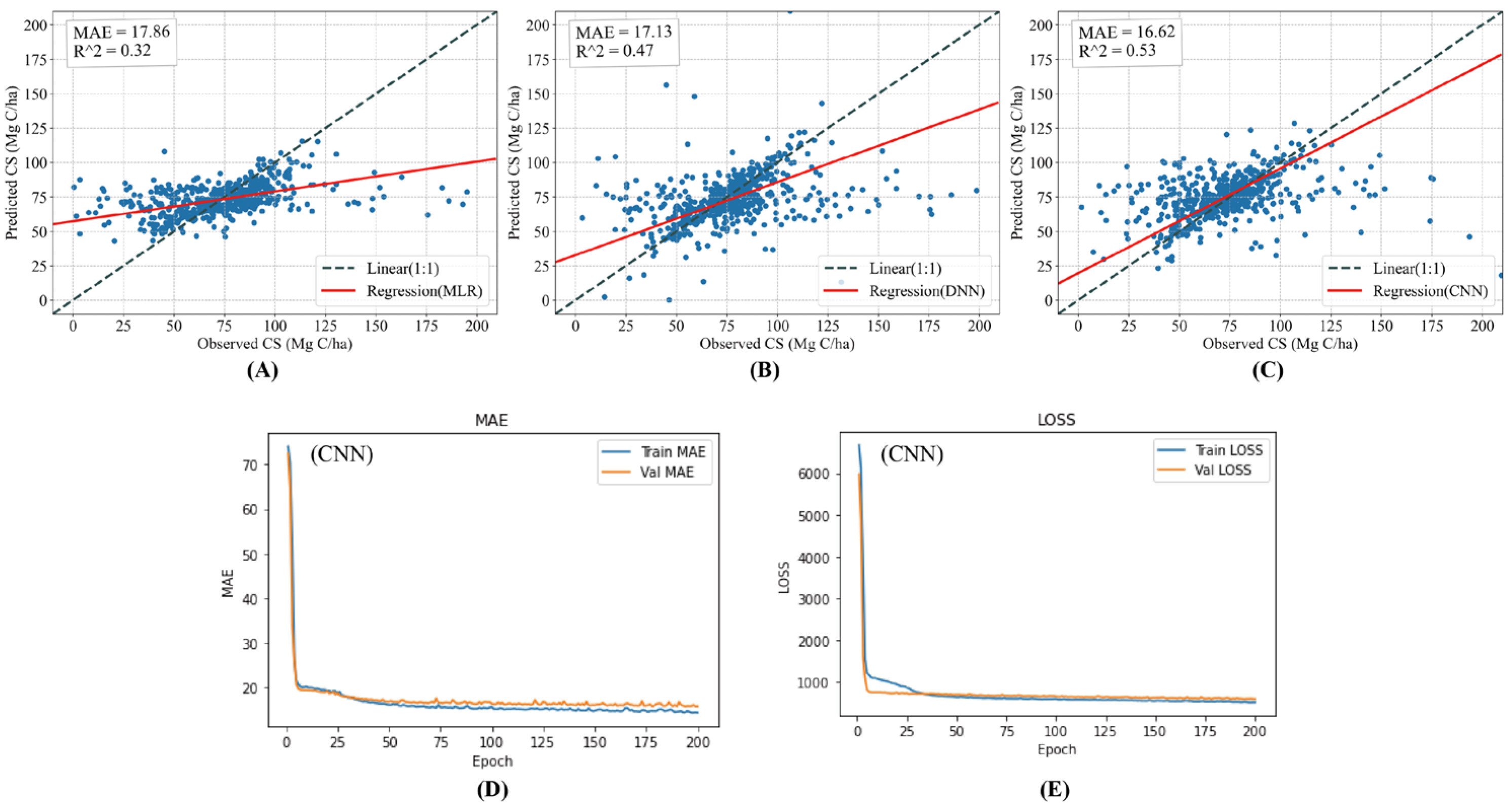 Forests 14 00483 g005
