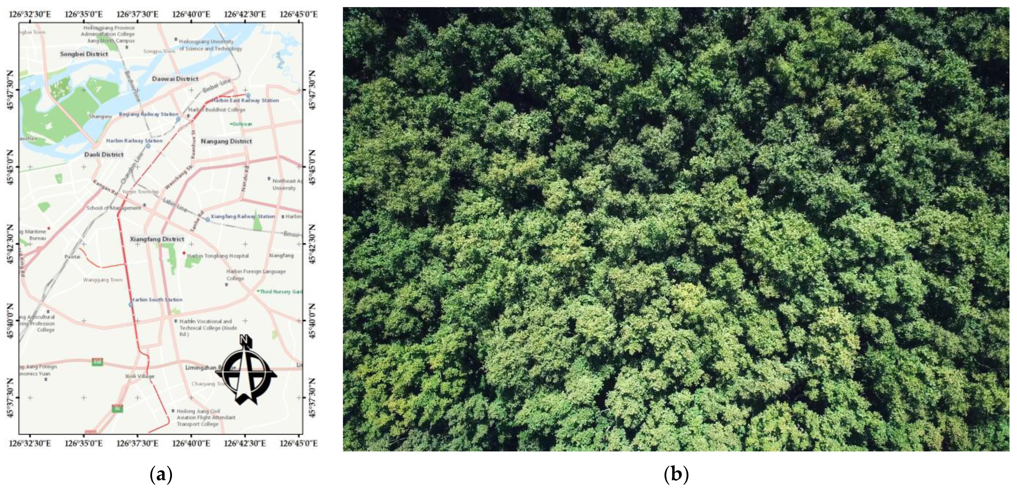 Forests 14 00484 g001