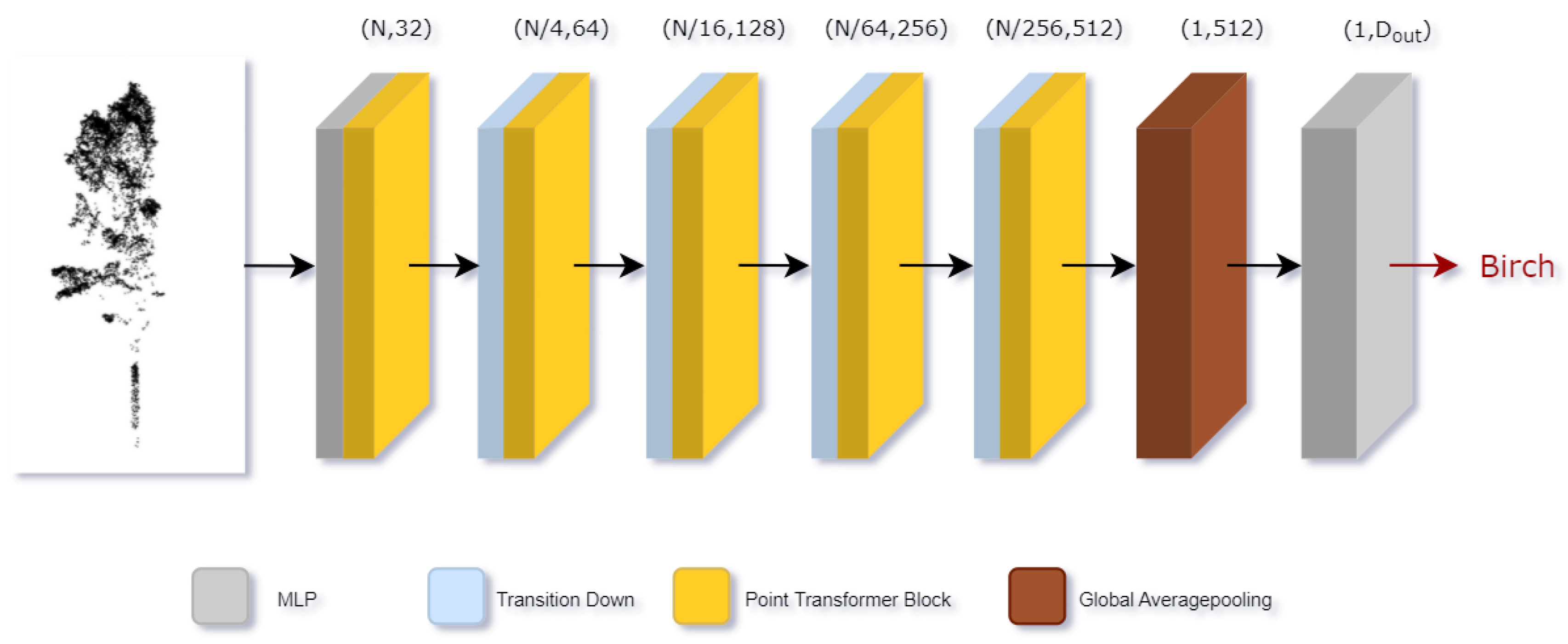 Forests 14 00484 g008