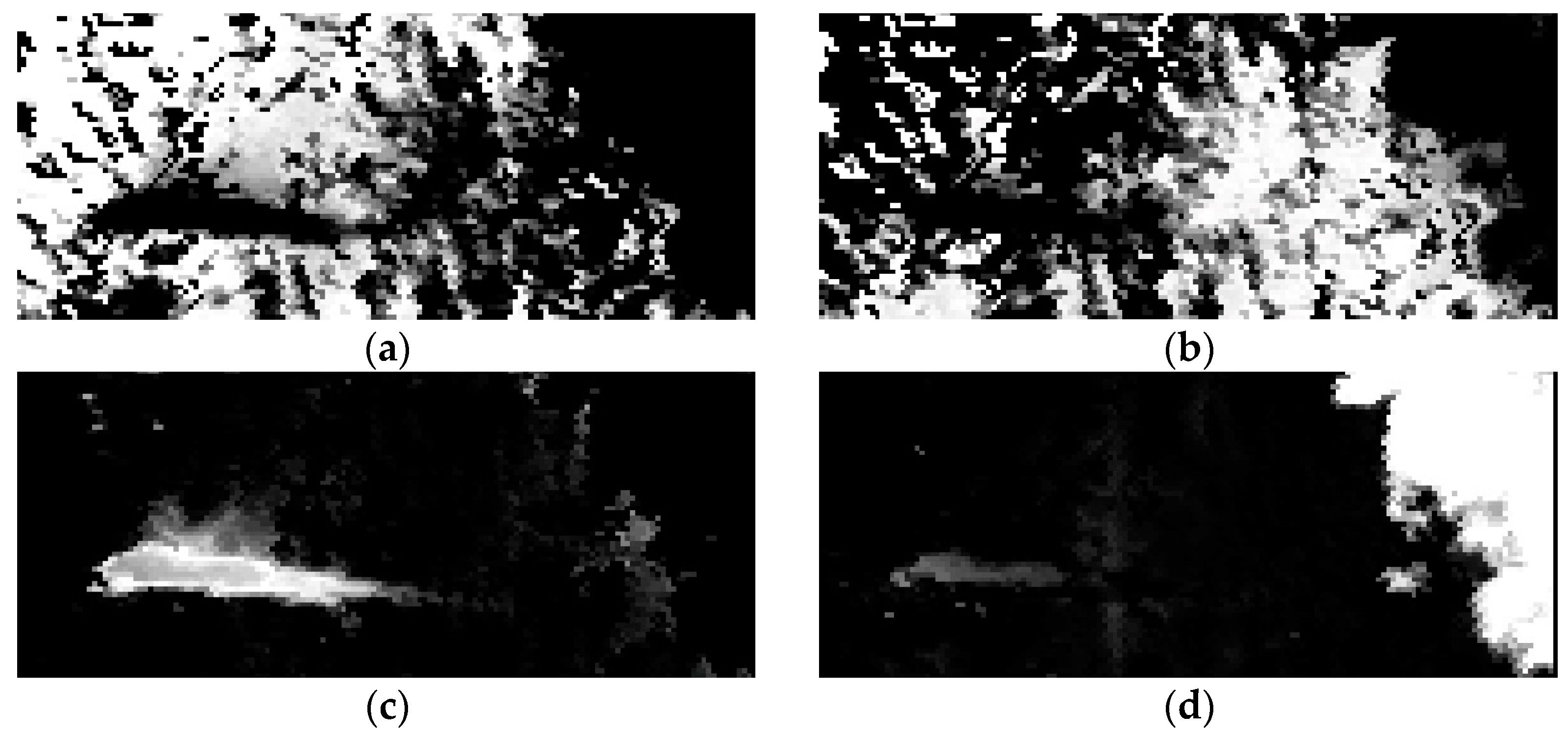 Forests 14 00485 g007