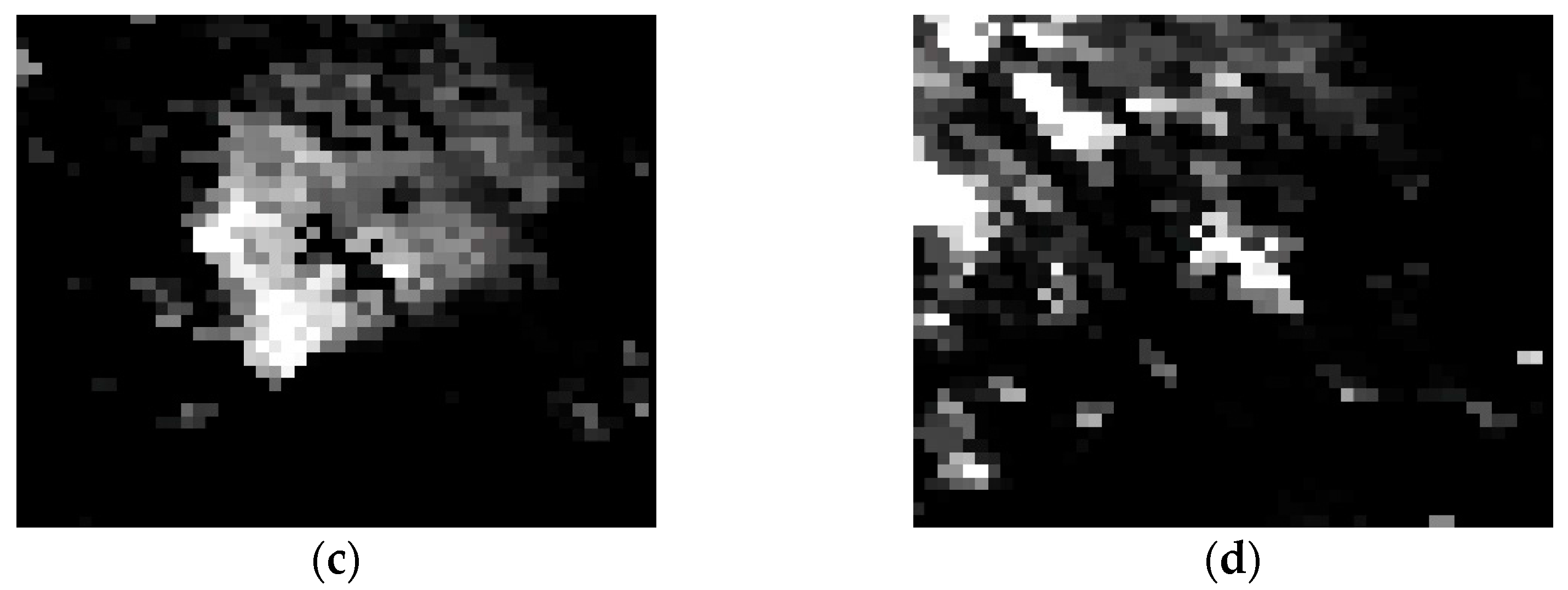 Forests 14 00485 g008b