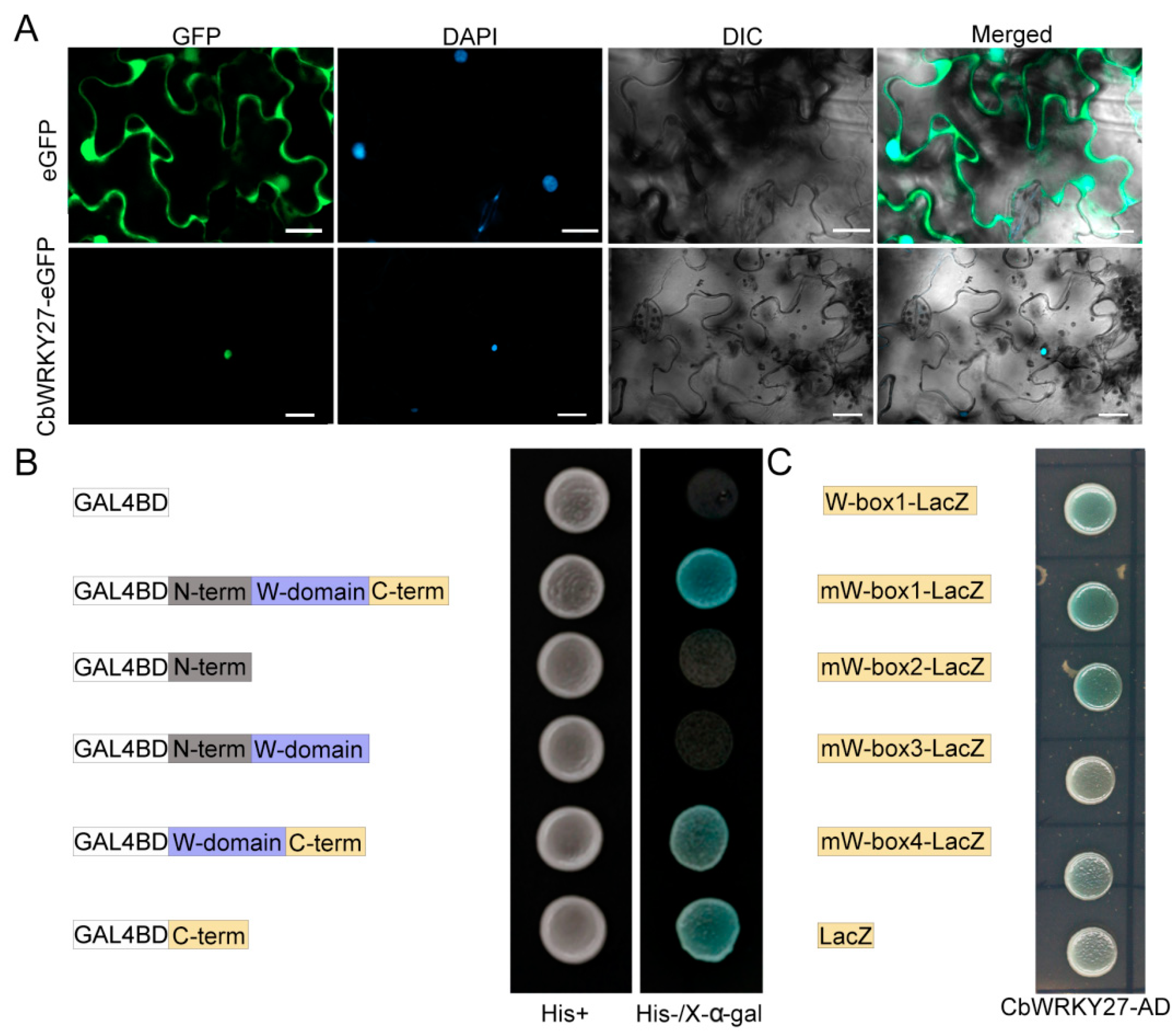 Forests 14 00486 g001 Forests 14 00486 g001