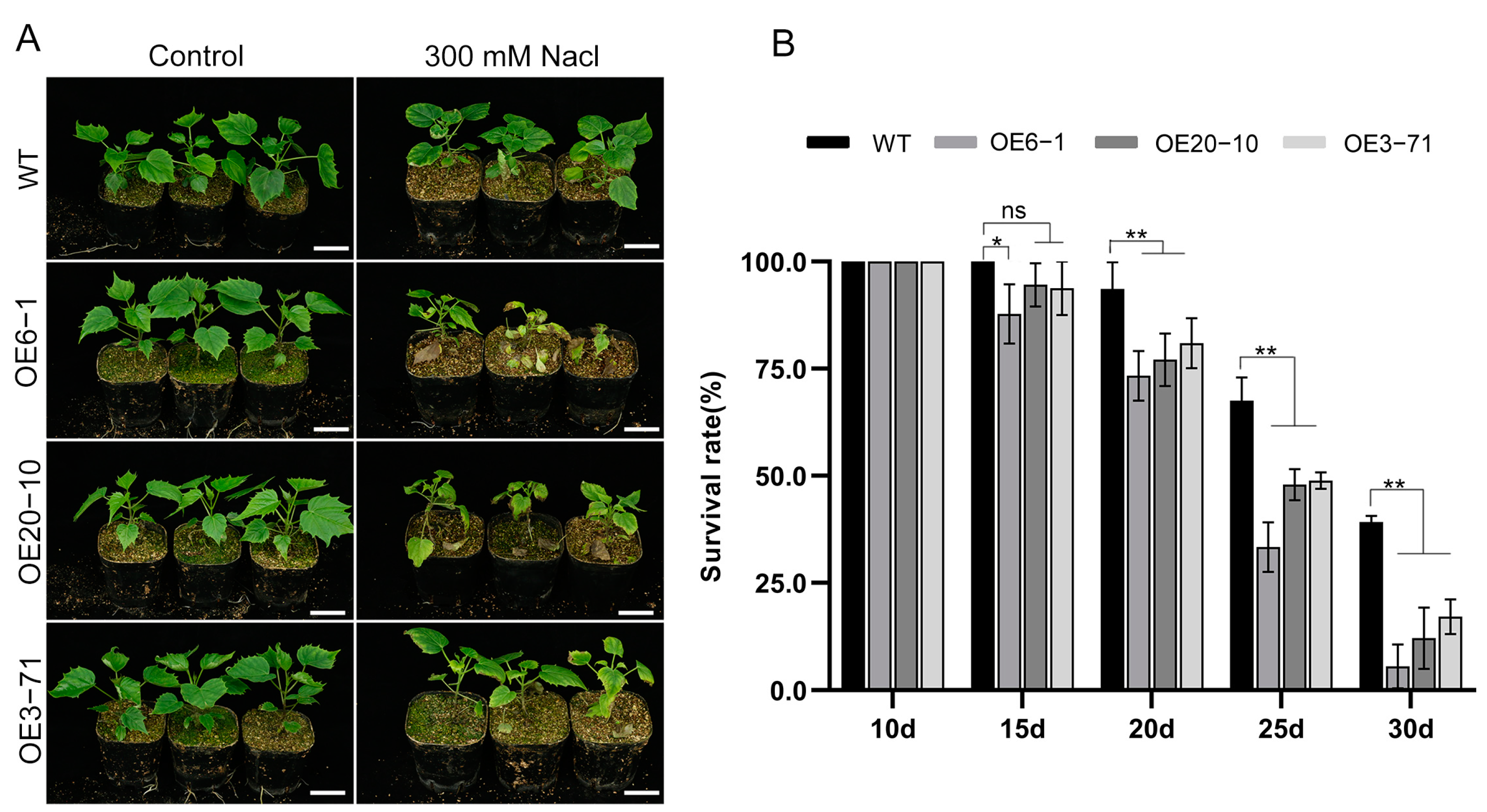 Forests 14 00486 g003 Forests 14 00486 g003
