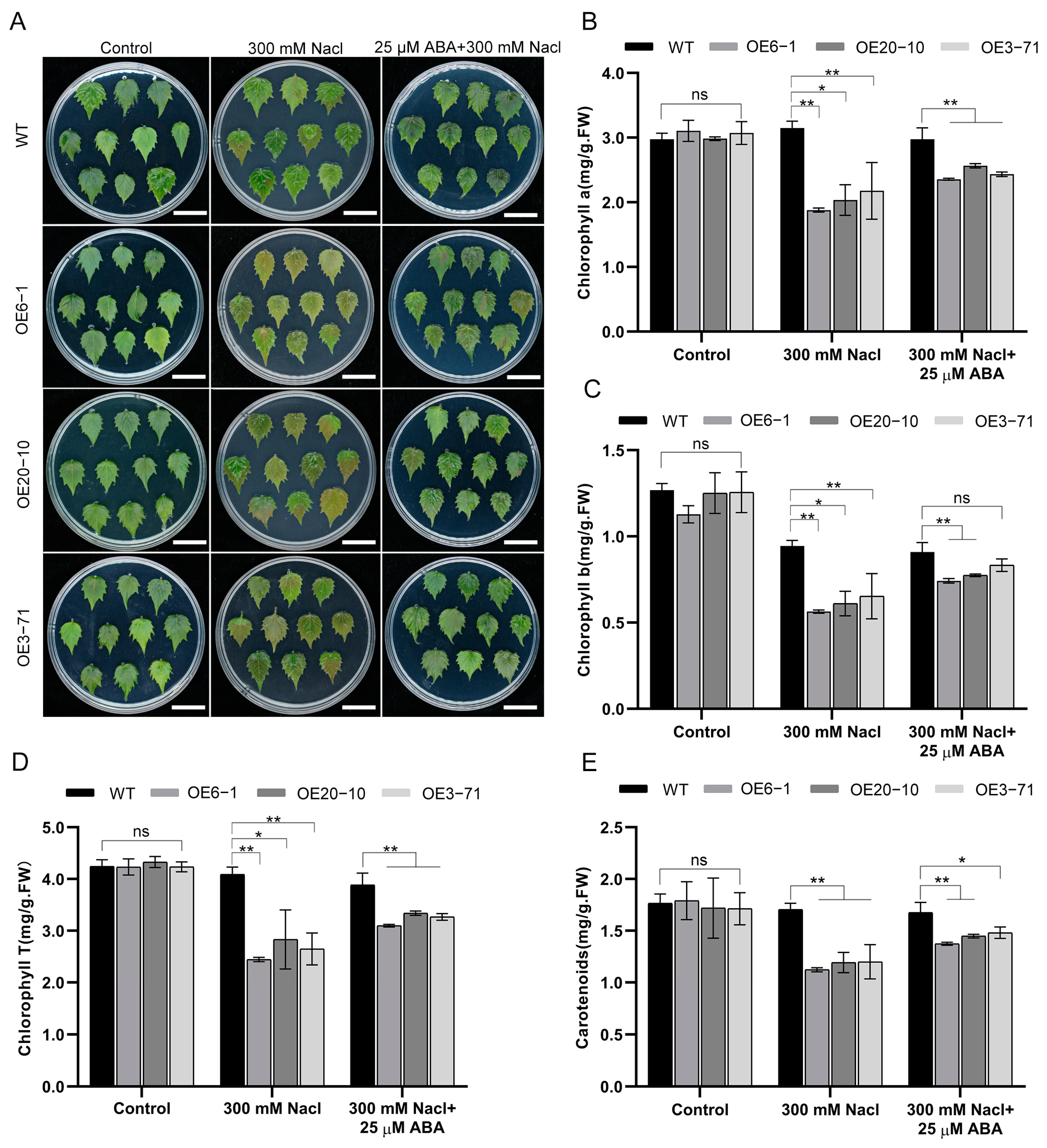 Forests 14 00486 g006 Forests 14 00486 g006