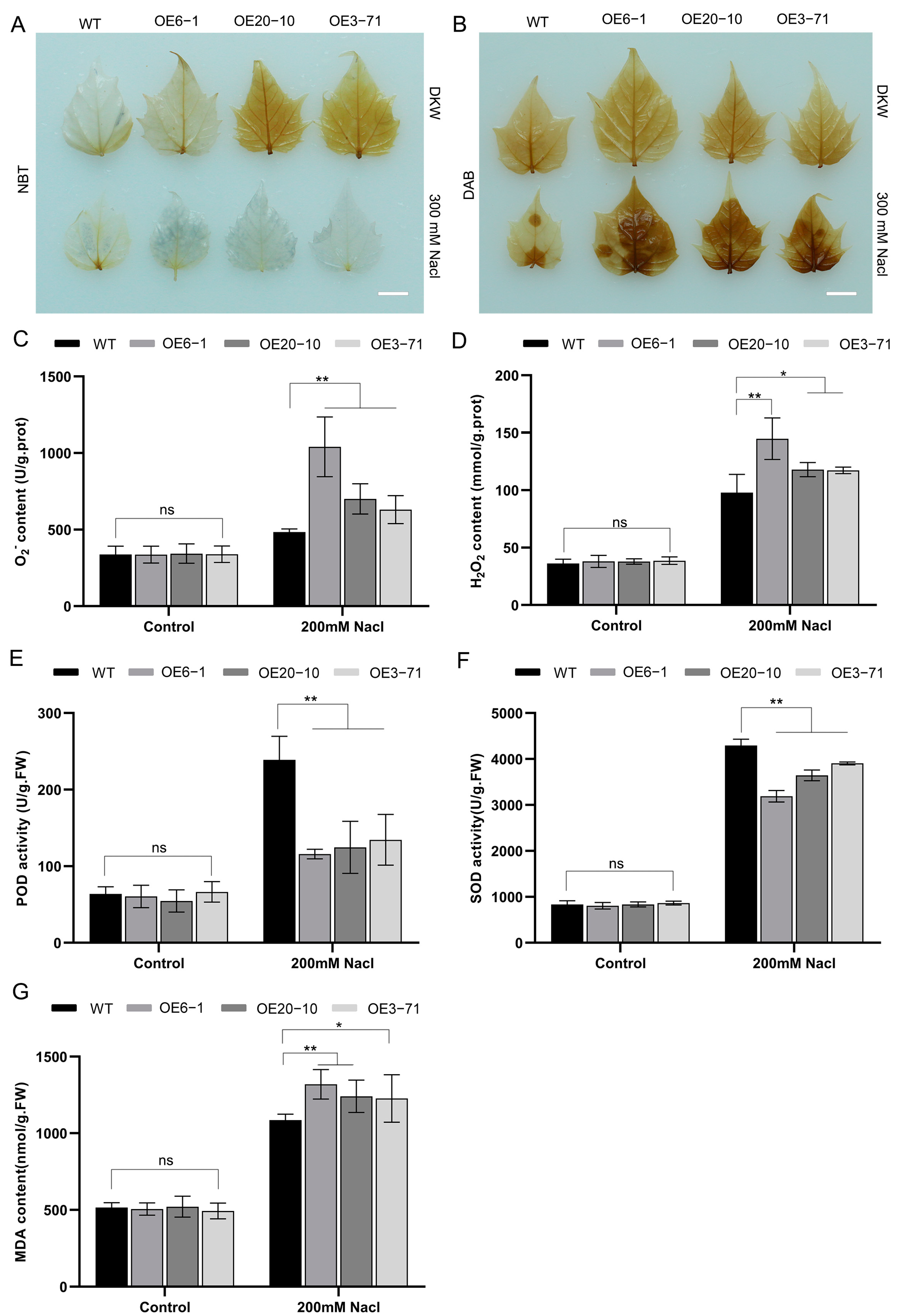 Forests 14 00486 g008 Forests 14 00486 g008