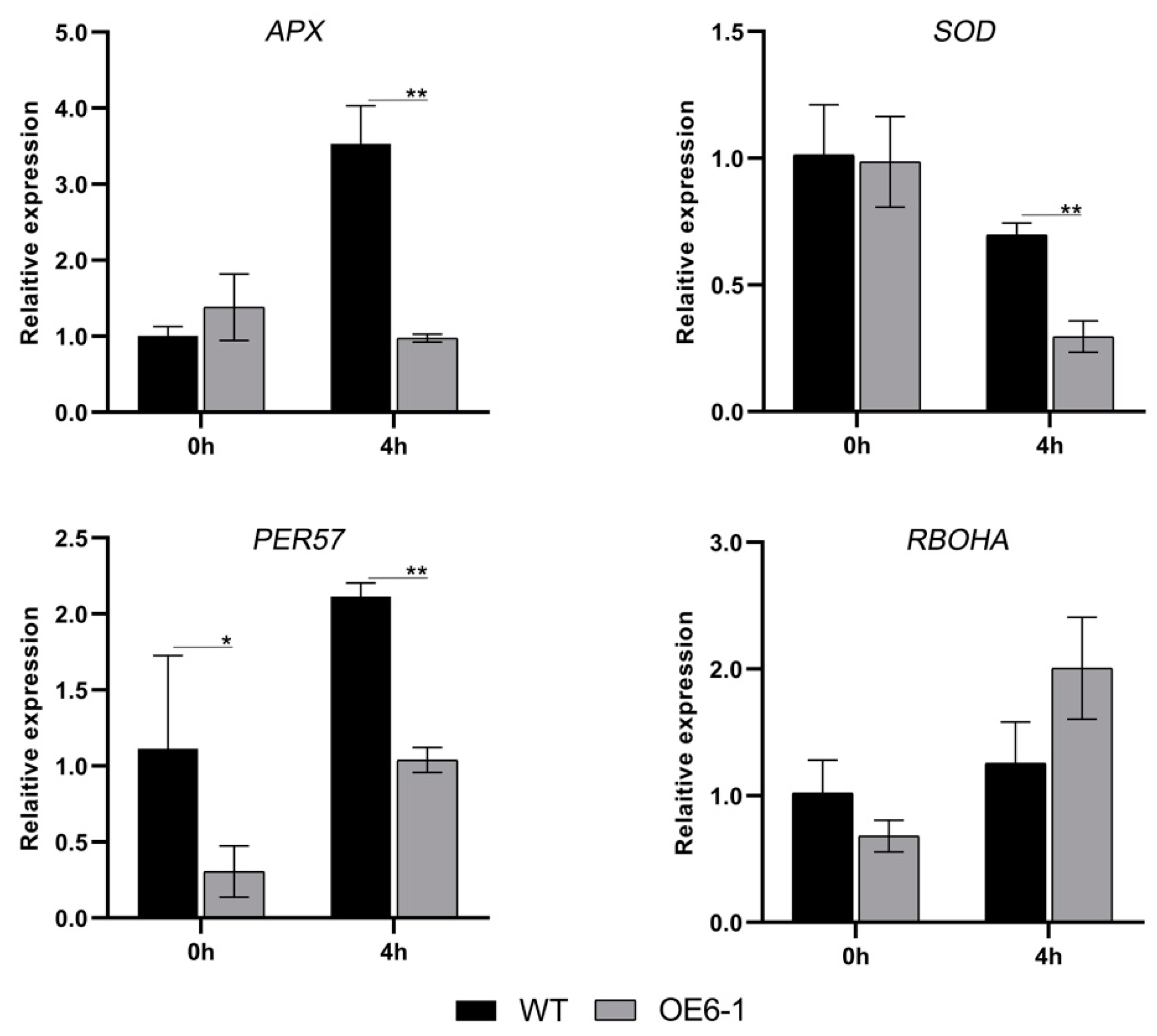 Forests 14 00486 g009 Forests 14 00486 g009