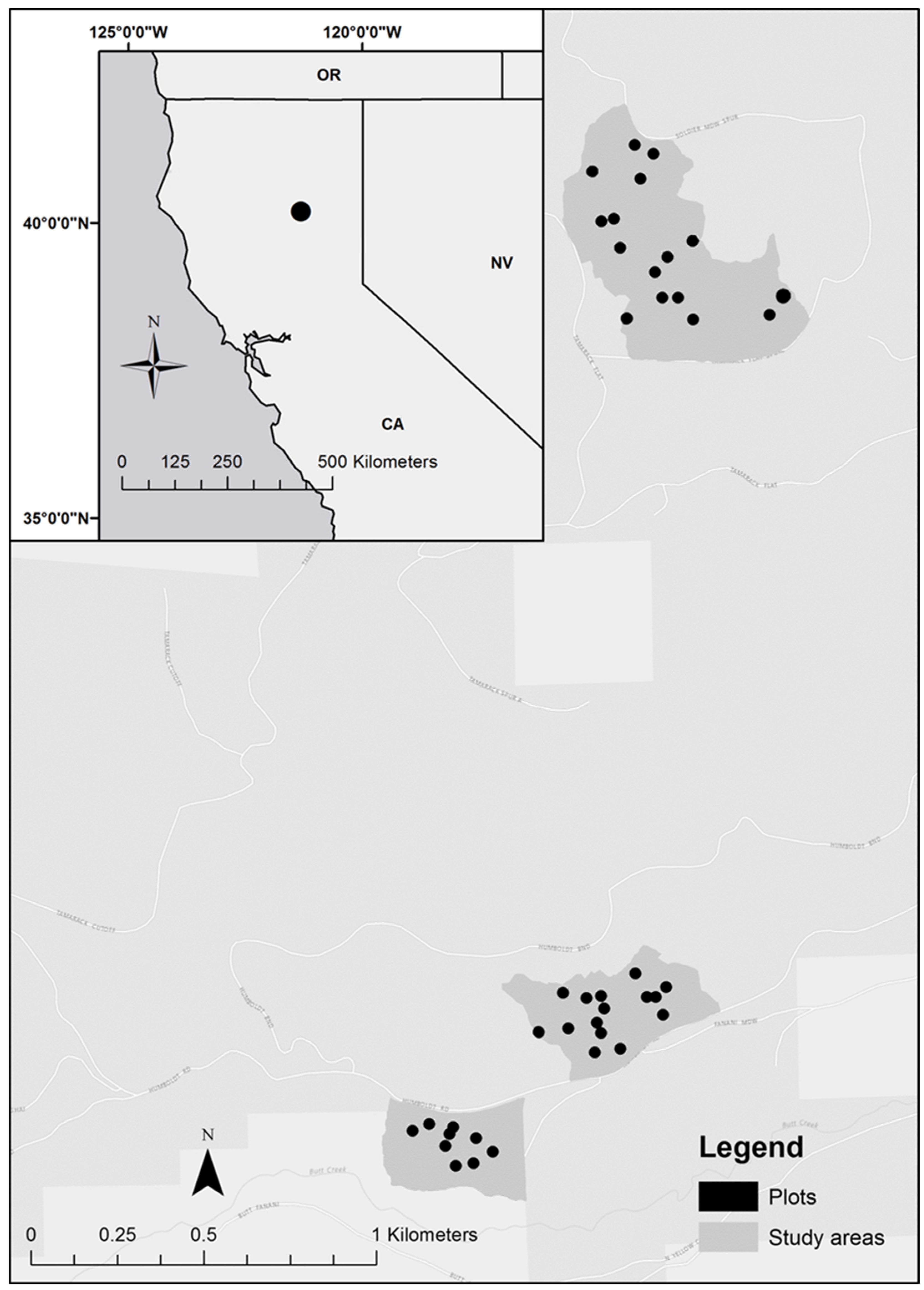 Forests 14 00489 g001 Forests 14 00489 g001