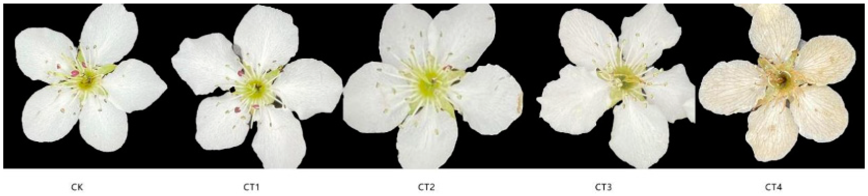 Forests 14 00490 g001 Forests 14 00490 g001